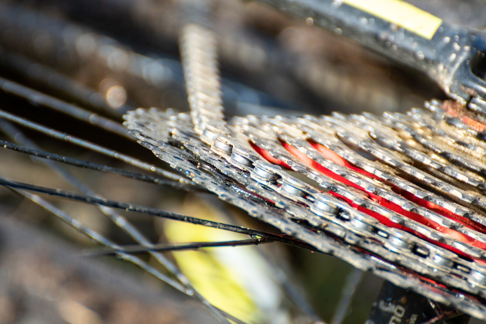 Sony a6500 + Sony DT 50mm F1.8 SAM sample photo. Bicycle, string, wheel photography