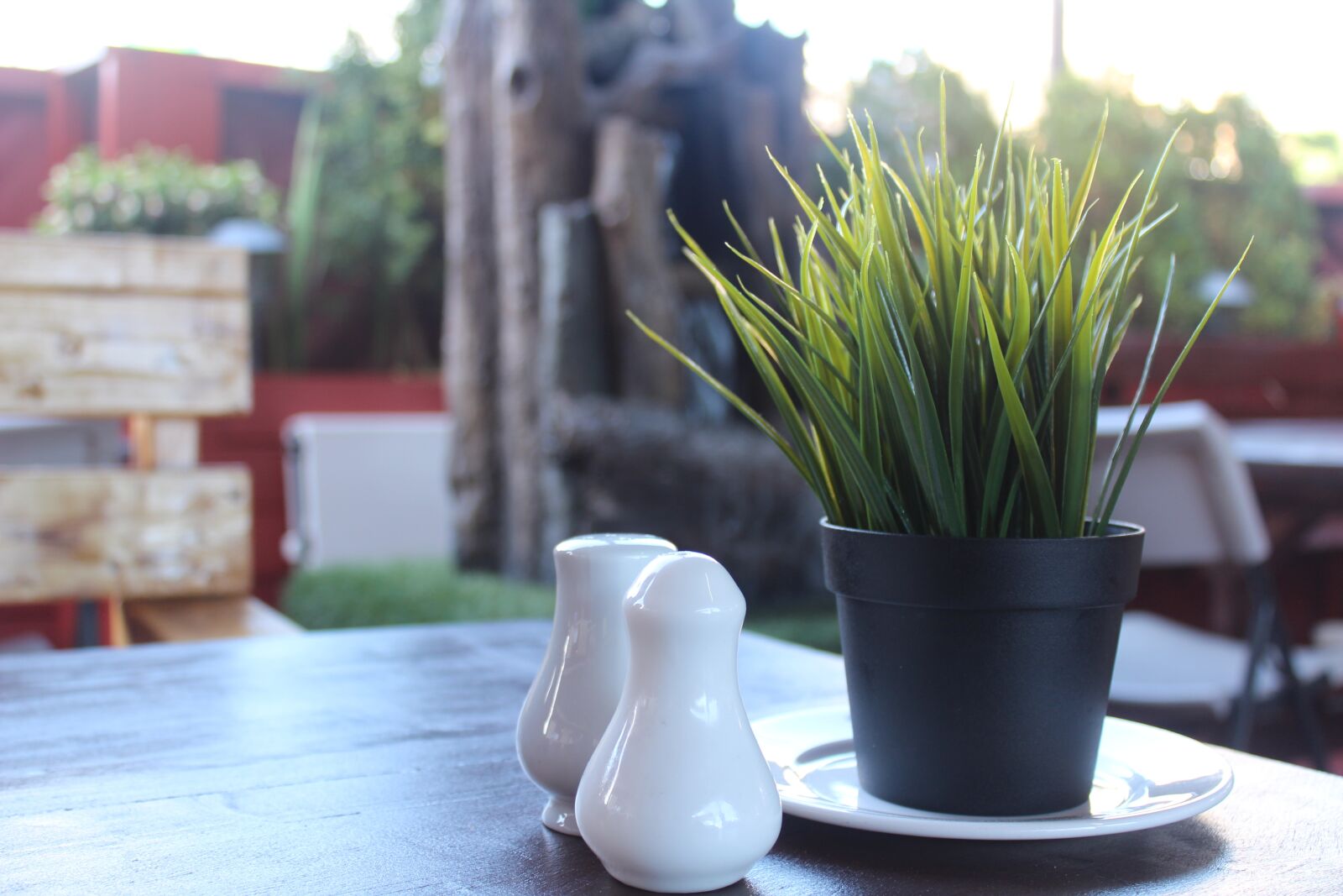 Canon EOS 1300D (EOS Rebel T6 / EOS Kiss X80) sample photo. Dining, pepper, plant, salt photography
