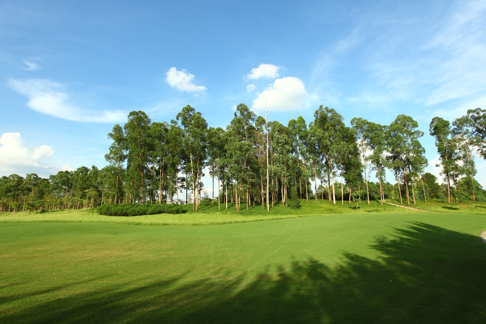 Canon EOS 5D Mark II sample photo. Golf course, green space photography