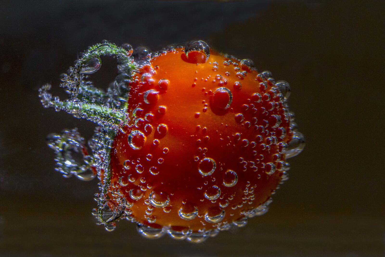 Canon EOS 7D Mark II sample photo. Bush tomato, tomato, tomato photography