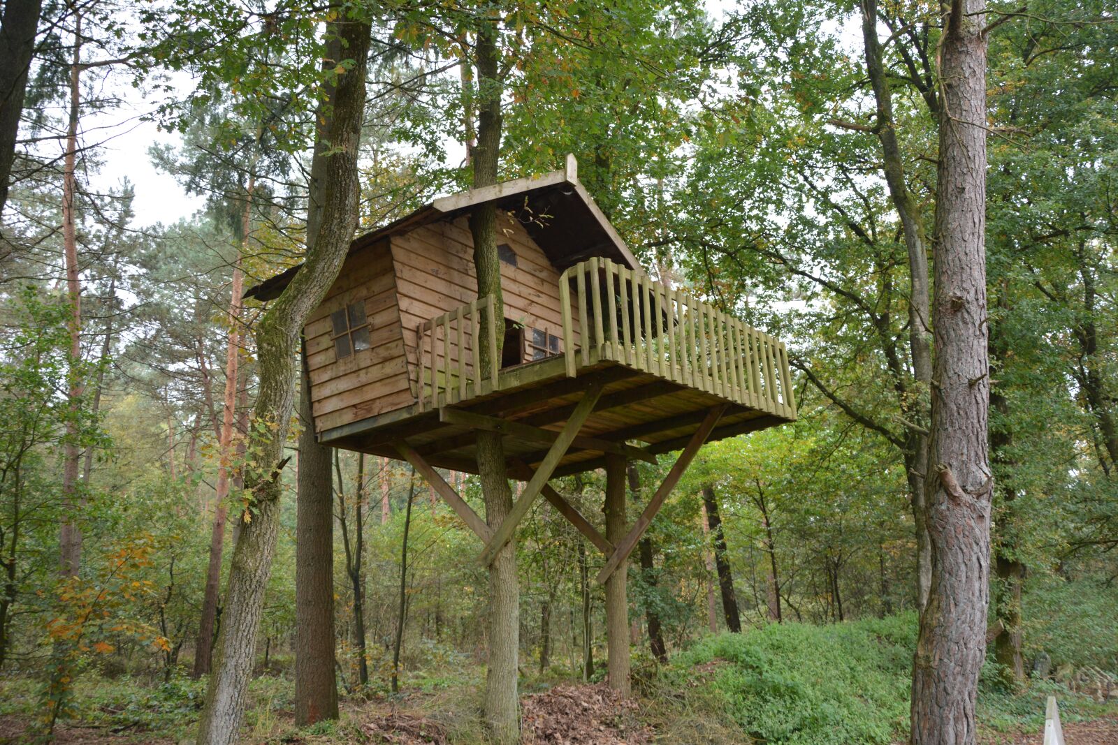 Nikon D7100 sample photo. Tree house, forest, trees photography