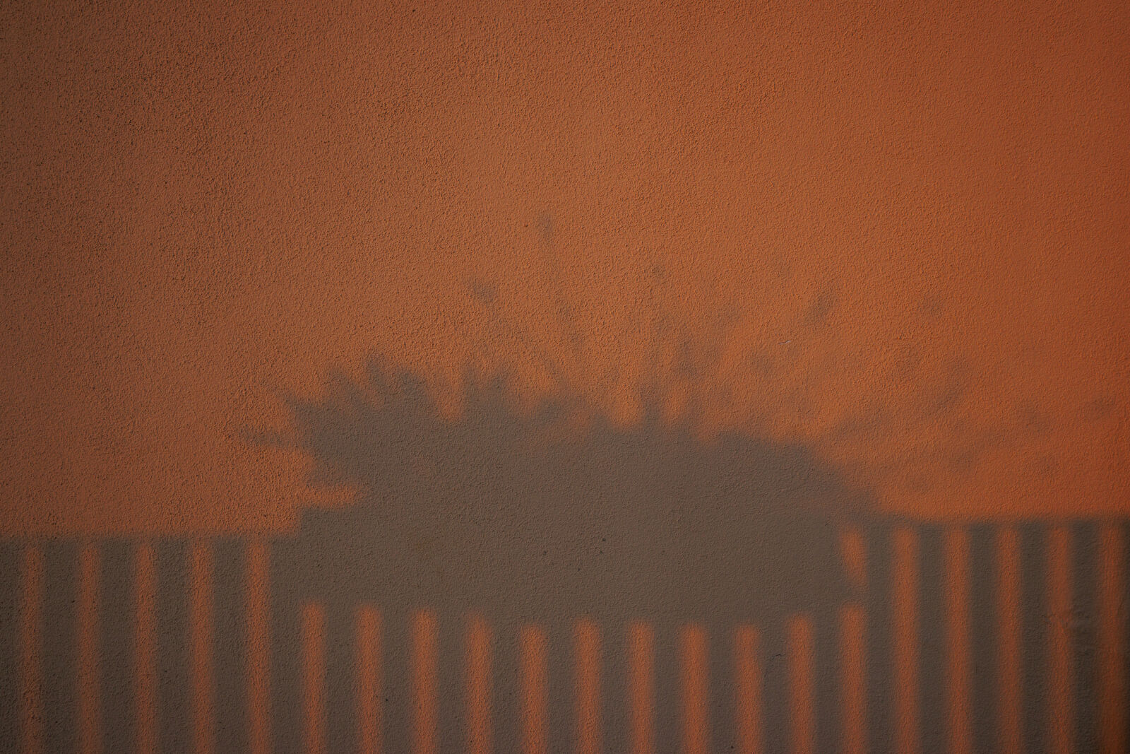 Canon EOS R7 sample photo. Planting sunrise photography