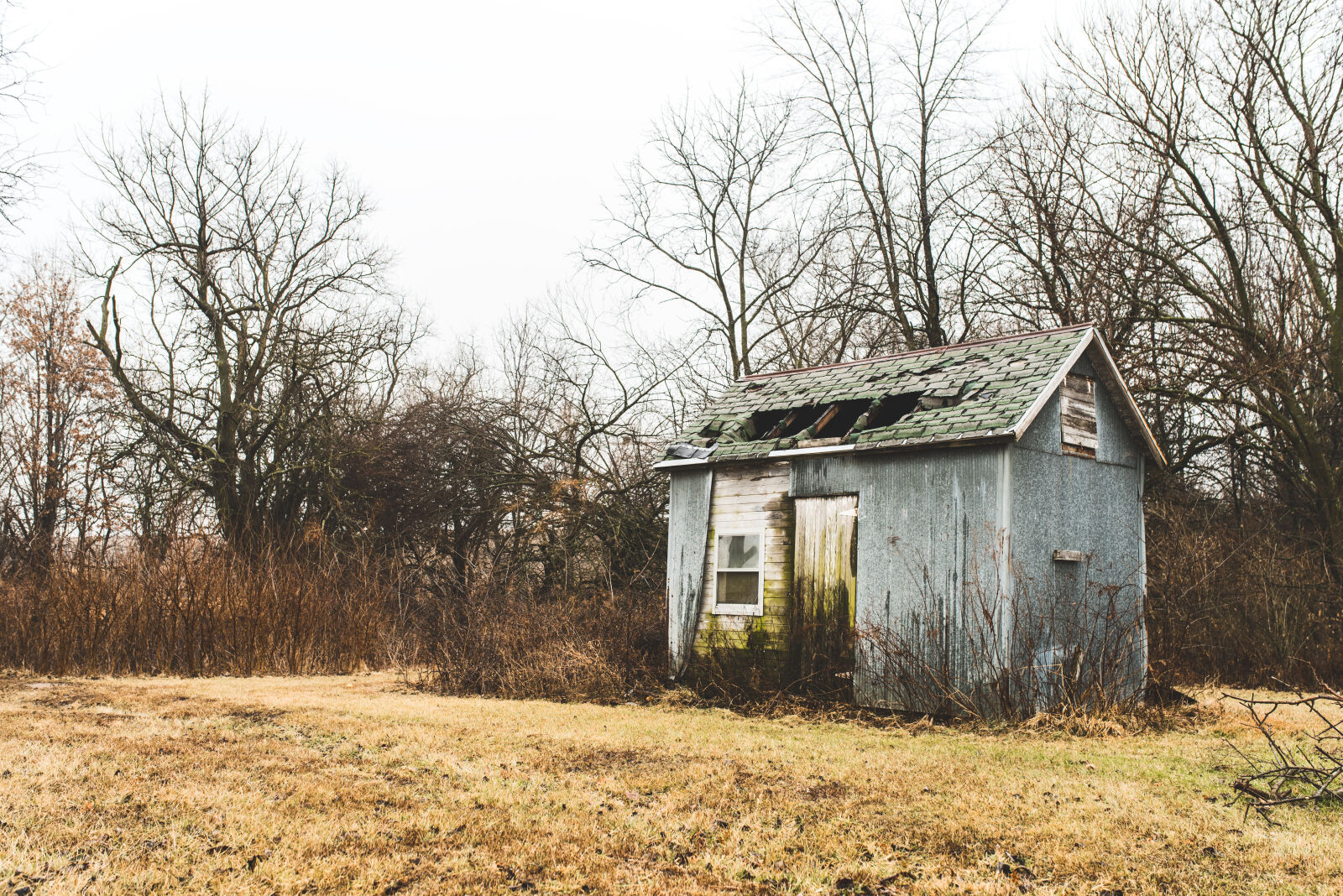 Sigma 35mm F1.4 DG HSM Art sample photo. Broken, brown, collapsing, creepy photography