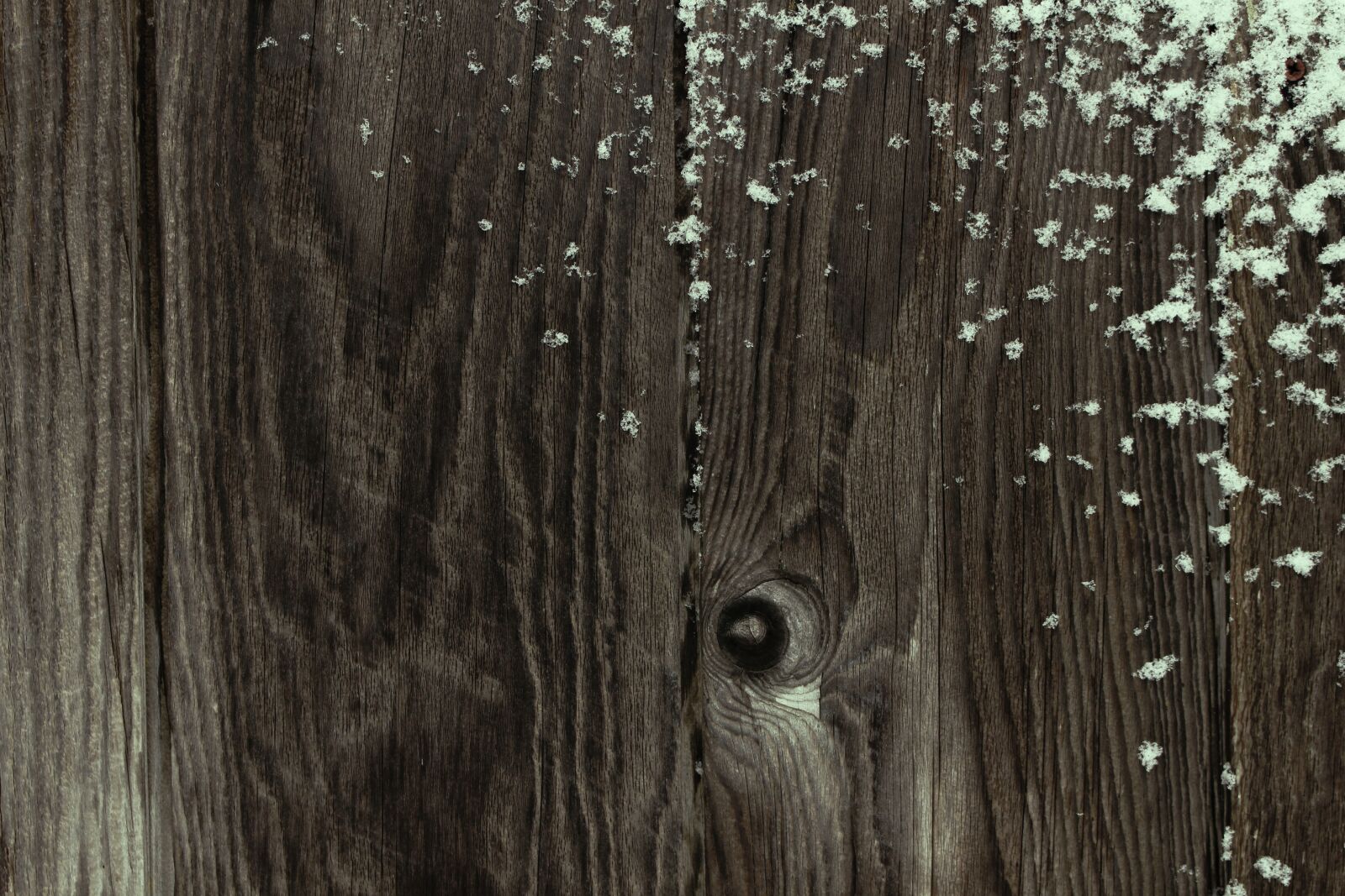 Canon EOS 700D (EOS Rebel T5i / EOS Kiss X7i) sample photo. Wood, winter, cold photography