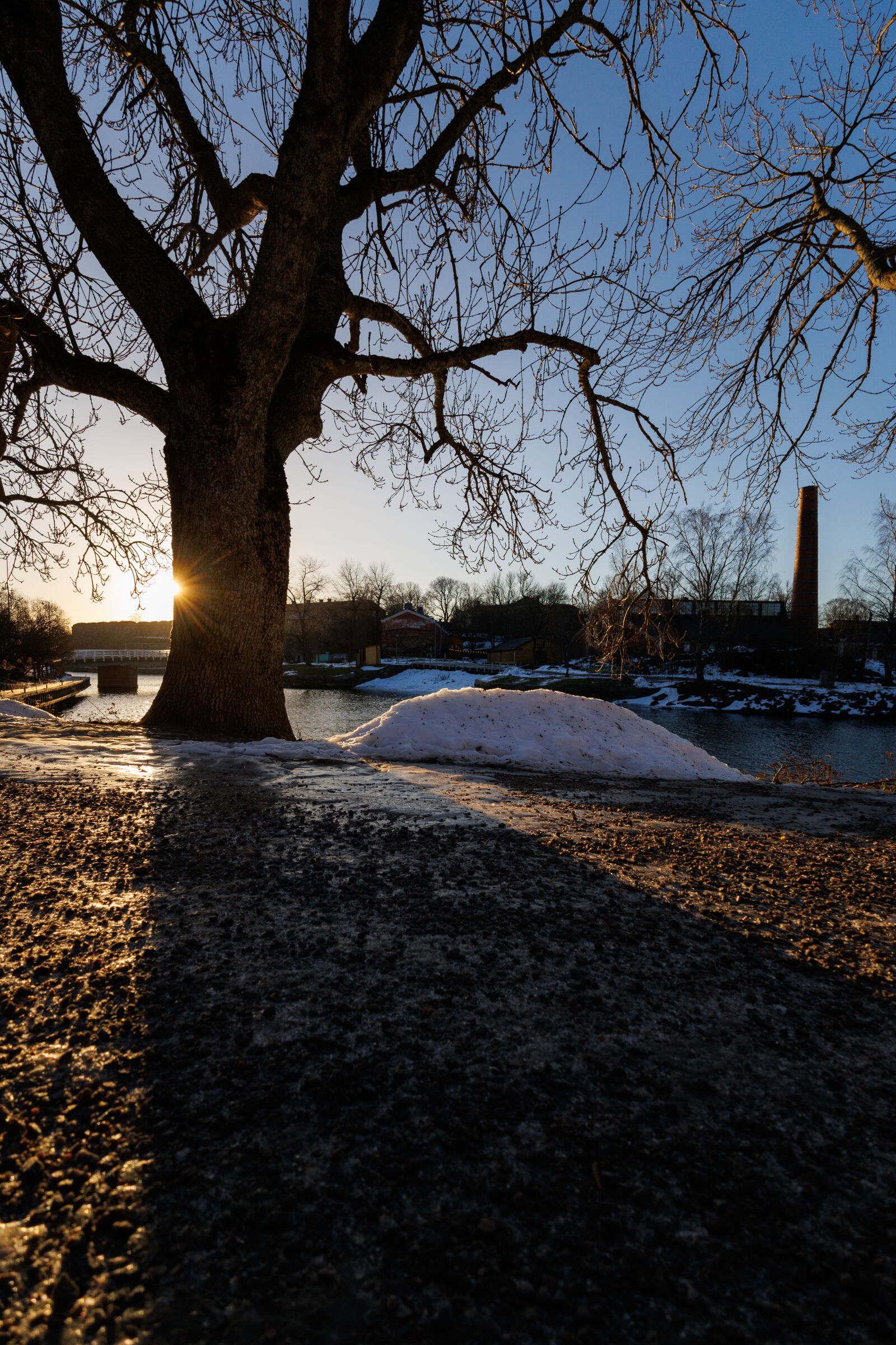 Canon EOS R7 sample photo. Winter sunrise tree photography