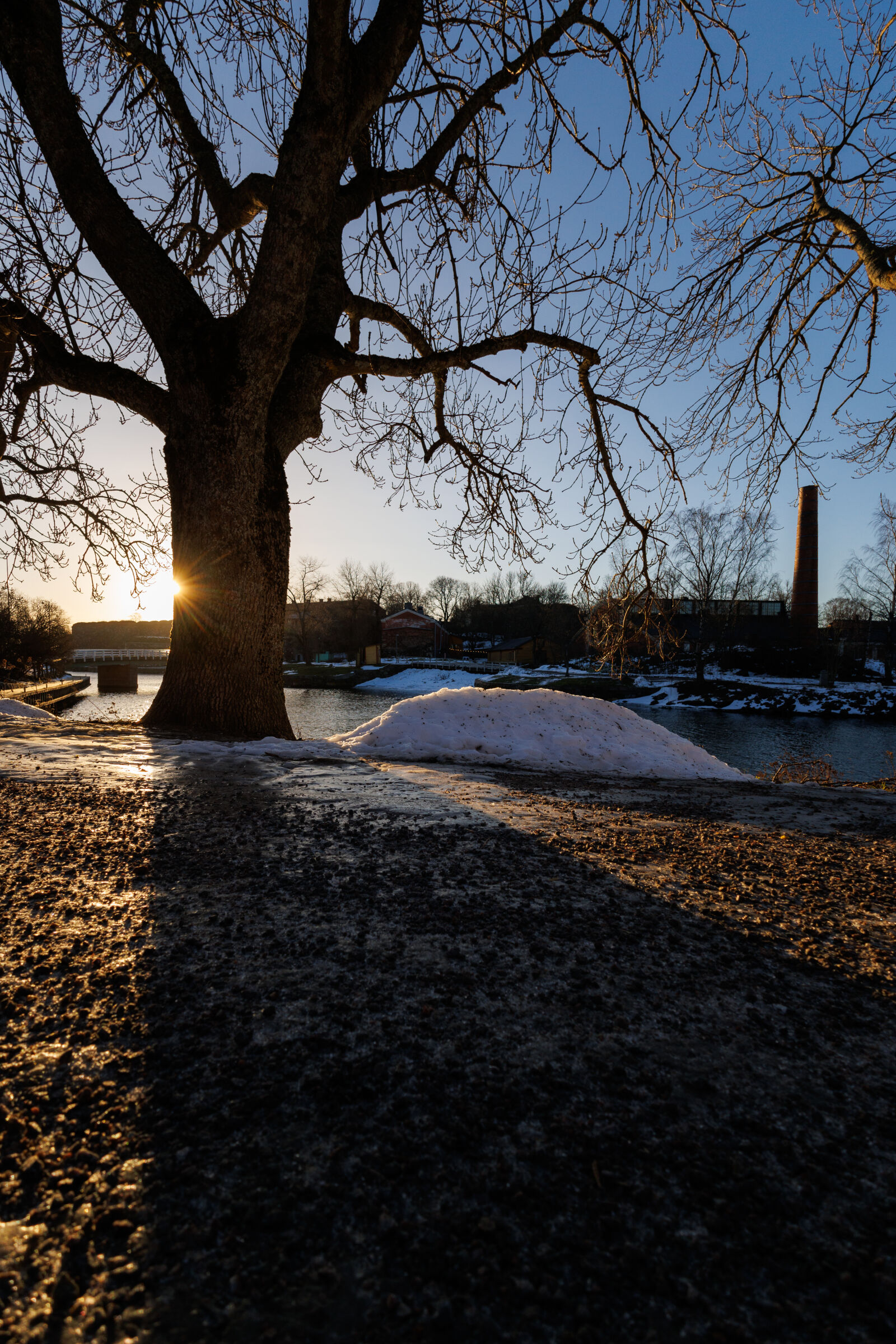 Canon RF 10-20mm F4 L IS STM sample photo. Winter sunrise tree photography