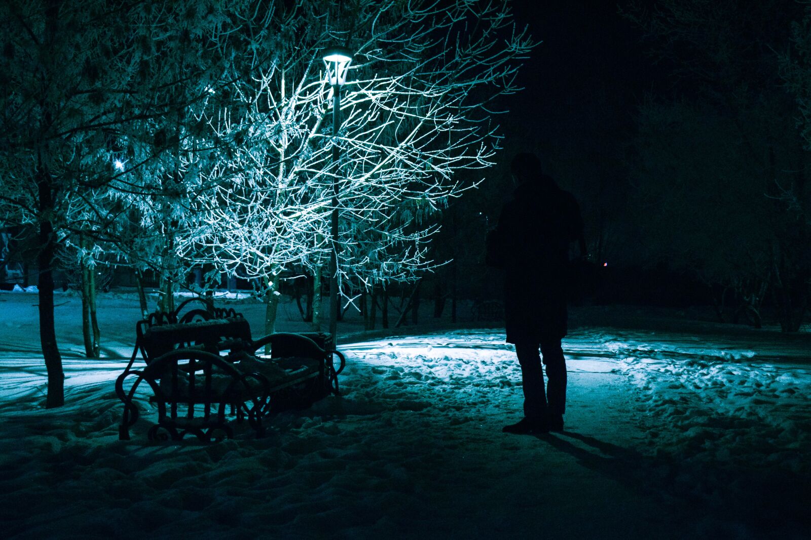 Nikon D5300 sample photo. City, night, snow photography