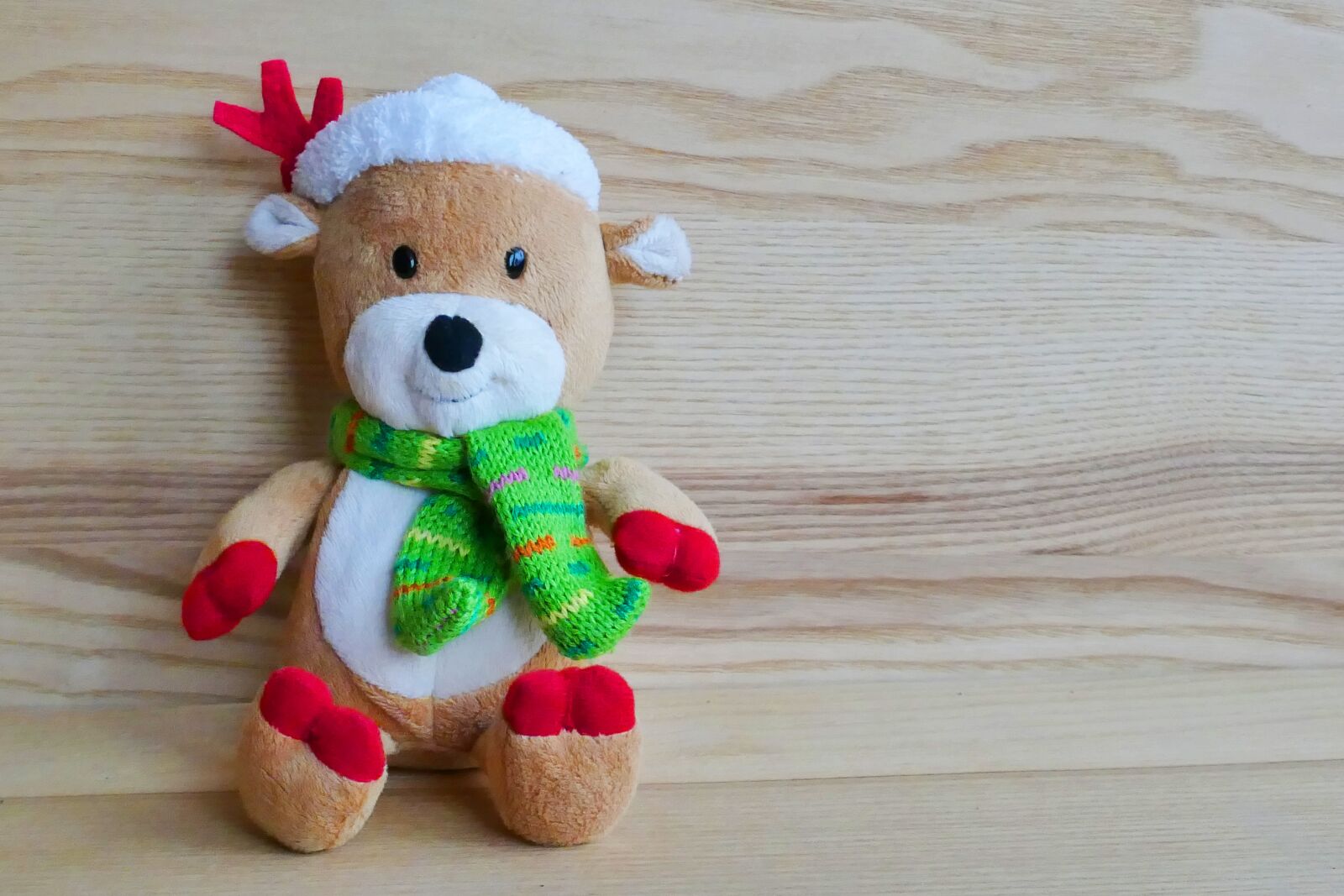 Panasonic Lumix DMC-FZ1000 sample photo. Animal, christmas, decoration, close photography