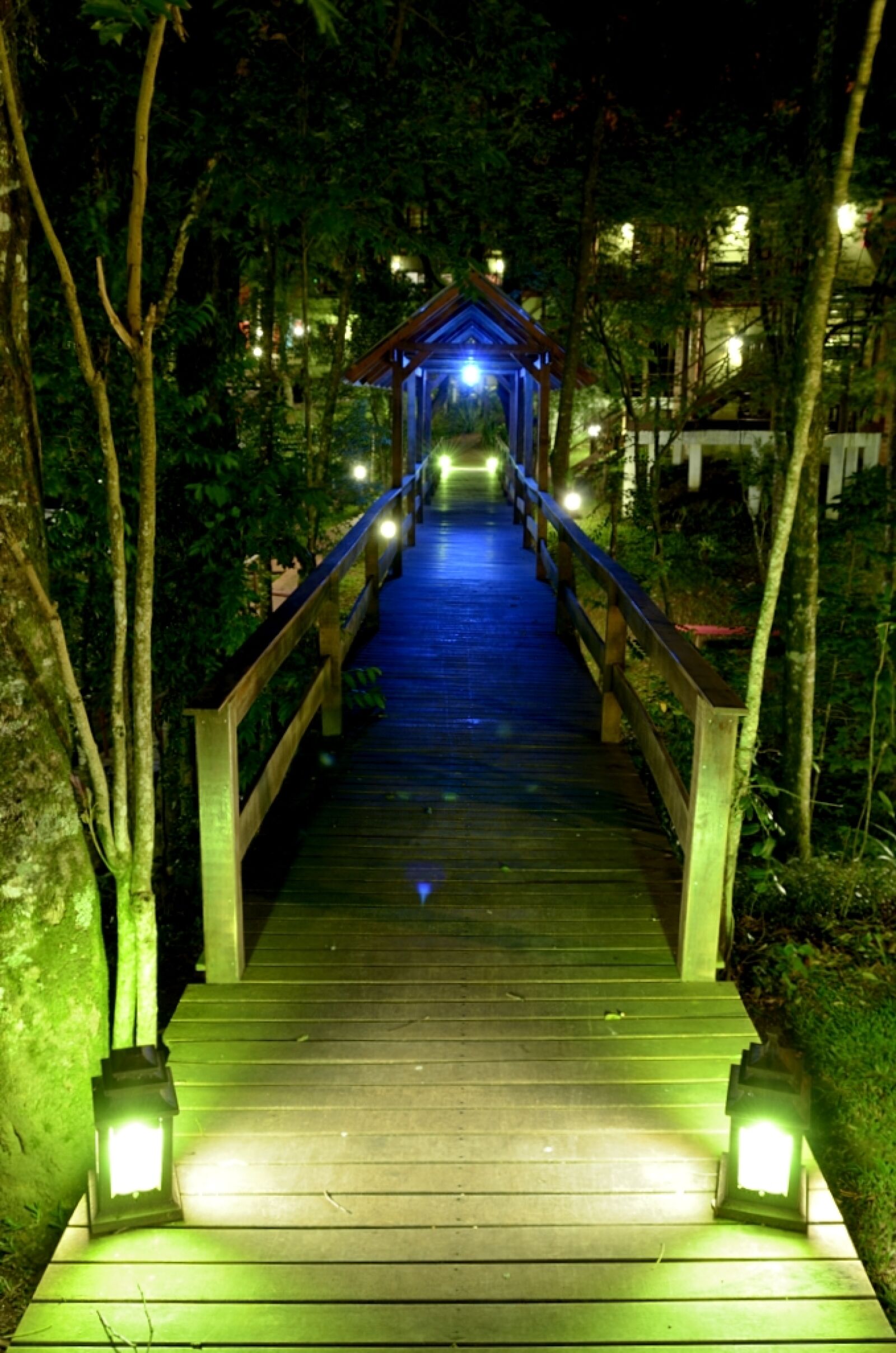 Nikon D5100 sample photo