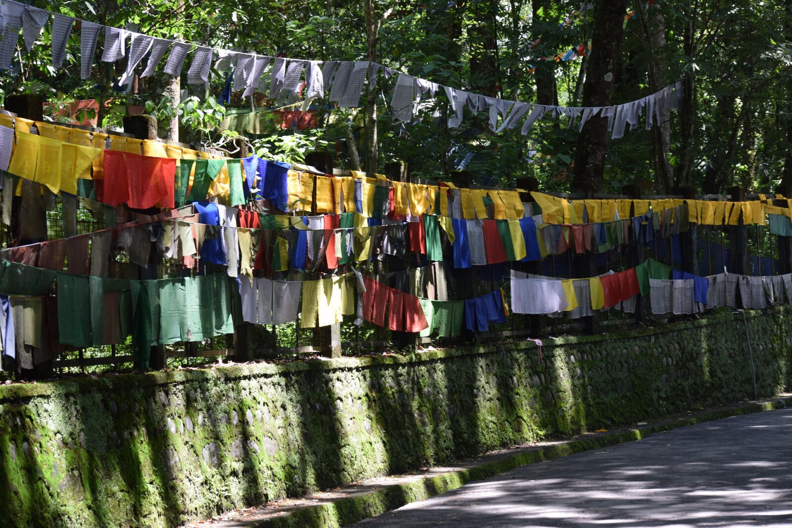 Nikon D3300 sample photo. Budha, temple, buddhism photography