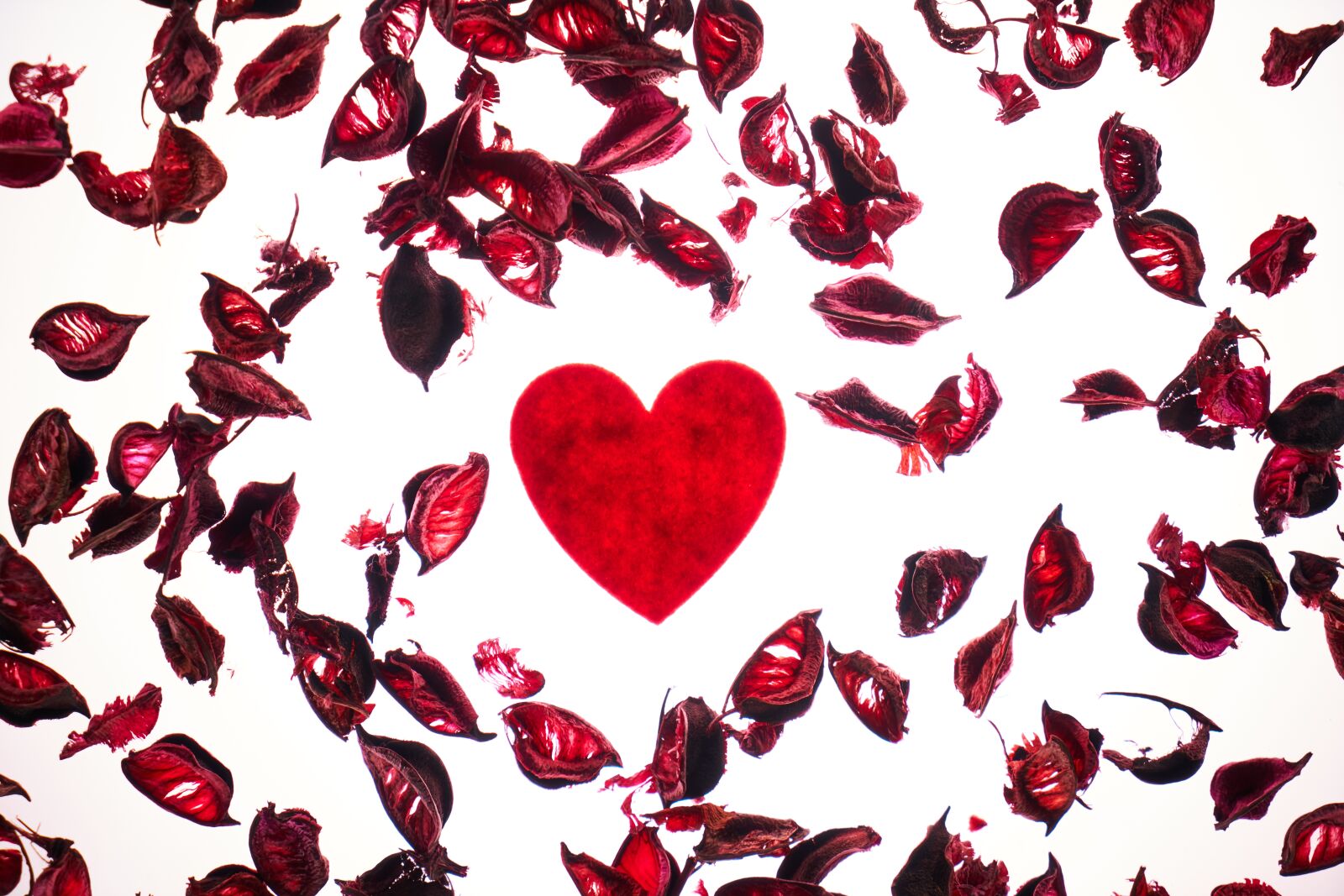 Sony a7R II sample photo. Valentine's day, love, romance photography
