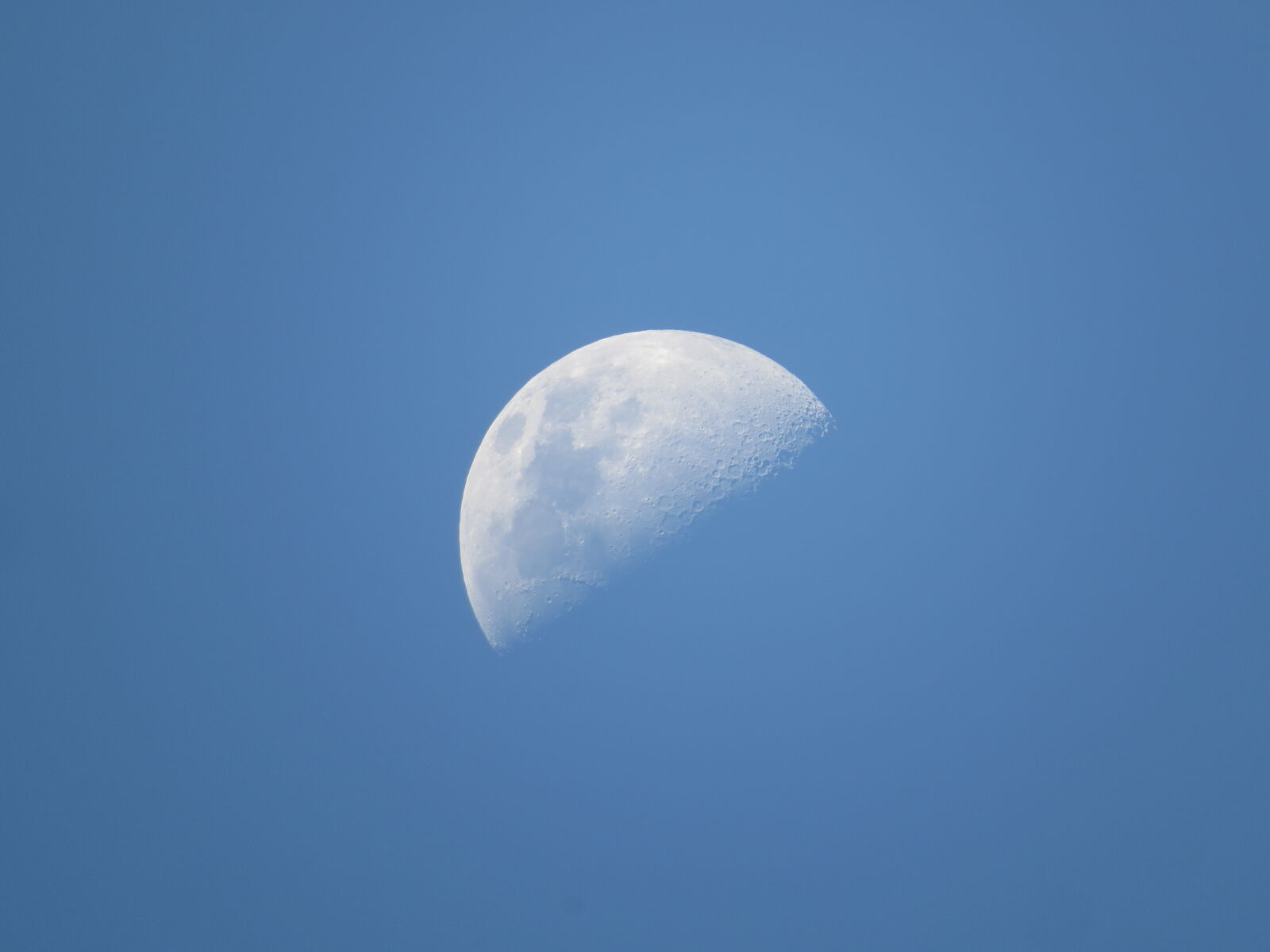 Canon PowerShot SX50 HS sample photo