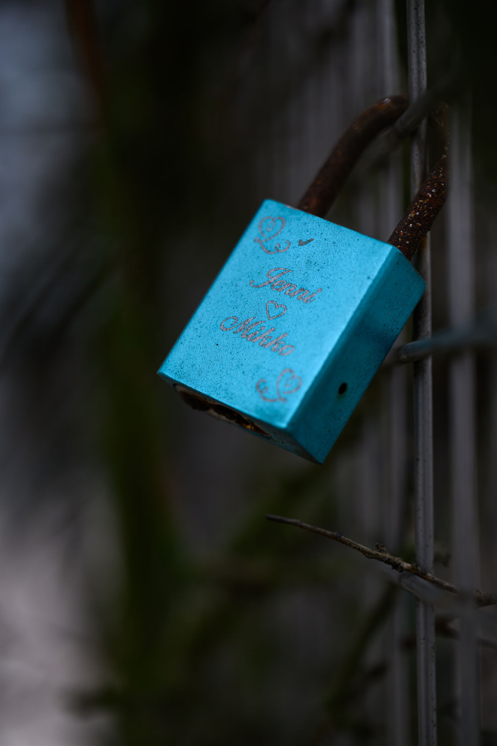 Tamron 90mm F2.8 Di III Macro VXD sample photo. Blue padlock photography