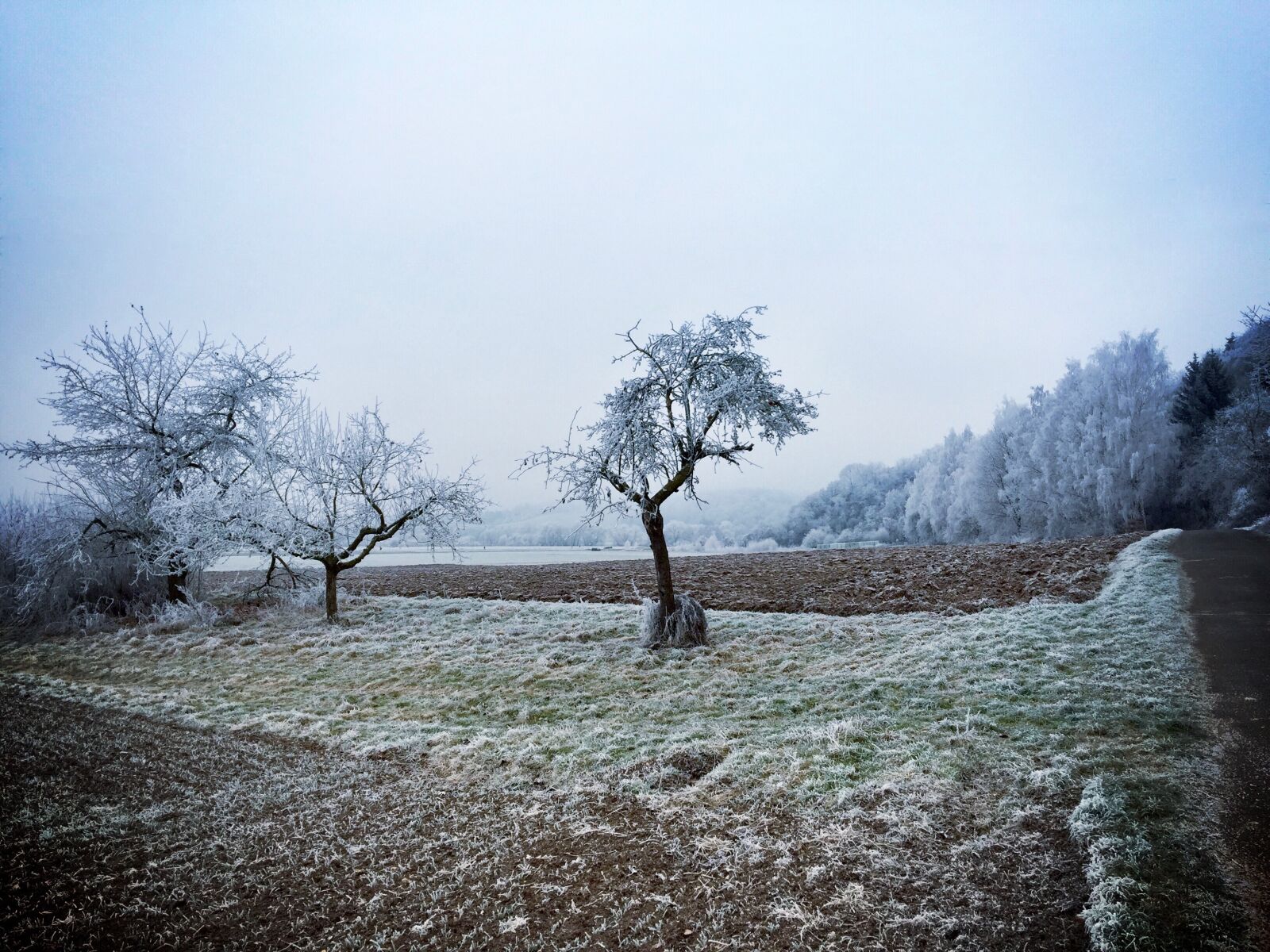 iPhone 6 Plus back camera 4.15mm f/2.2 sample photo. Winter, cold, wintry photography