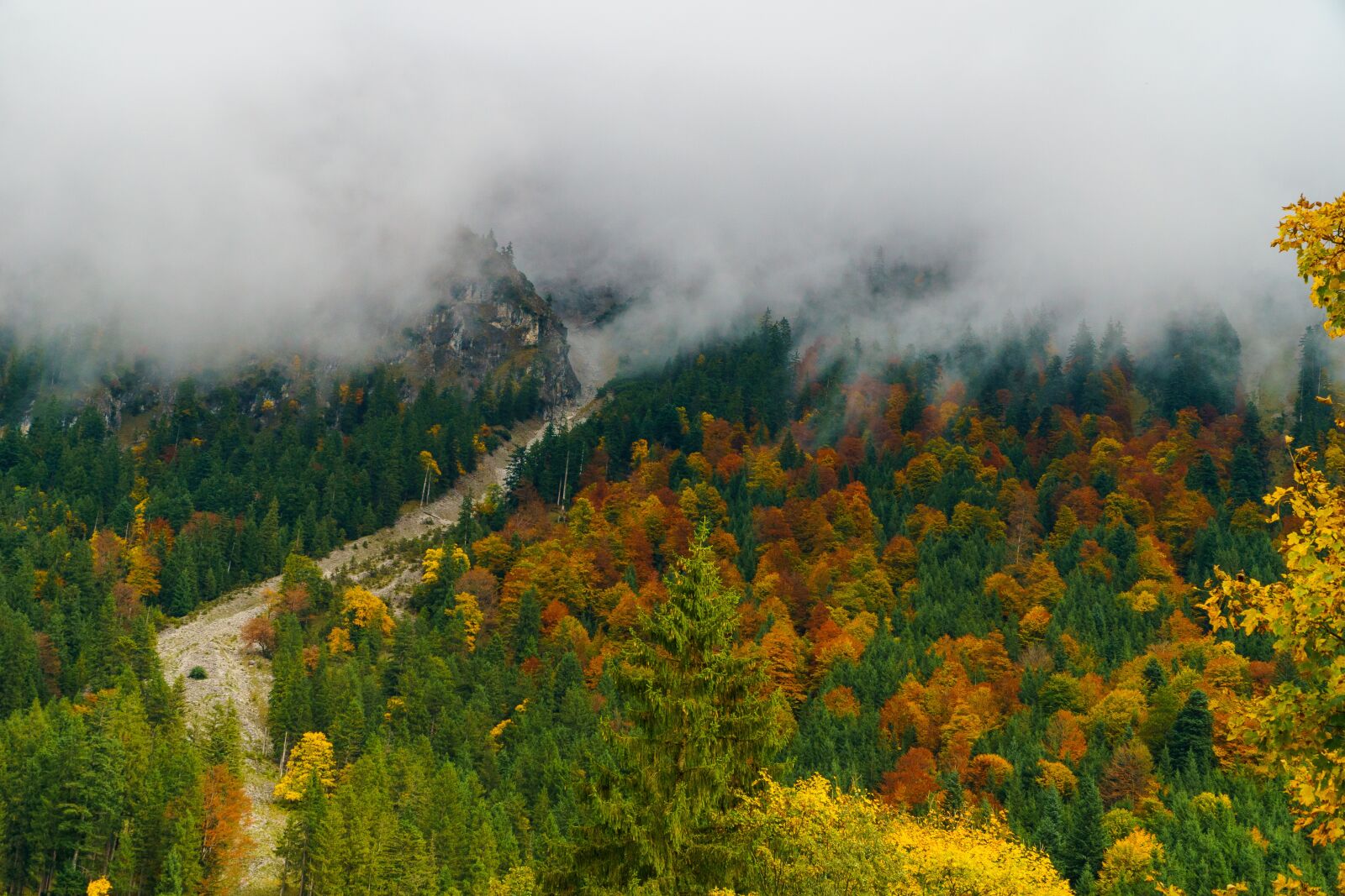 Sony a6000 + Sony E PZ 18-105mm F4 G OSS sample photo. Fog, oberstdorf, trees photography