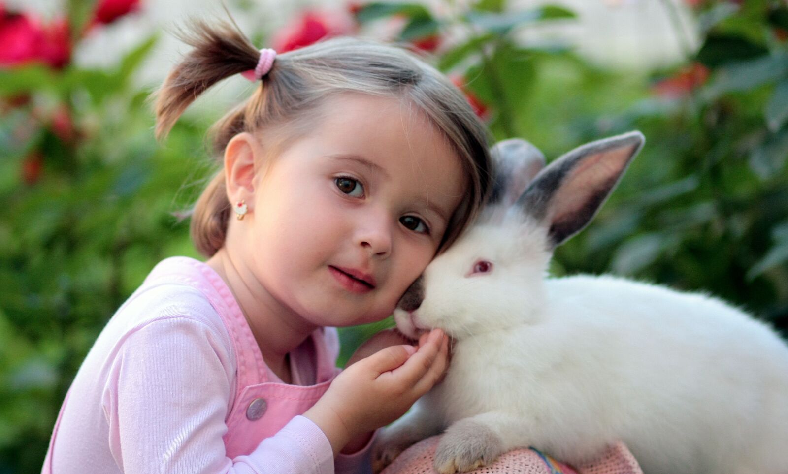 Canon EOS 450D (EOS Rebel XSi / EOS Kiss X2) sample photo. Girl, rabbit, friendship photography
