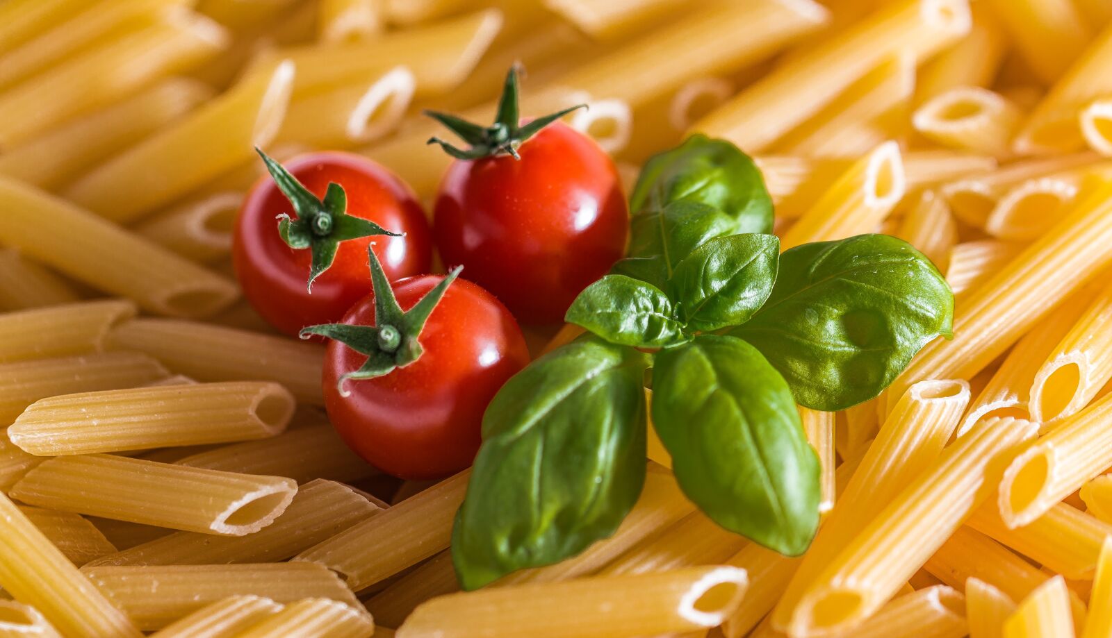 Canon EF 100mm F2.8L Macro IS USM sample photo. Pasta, noodles, penne photography