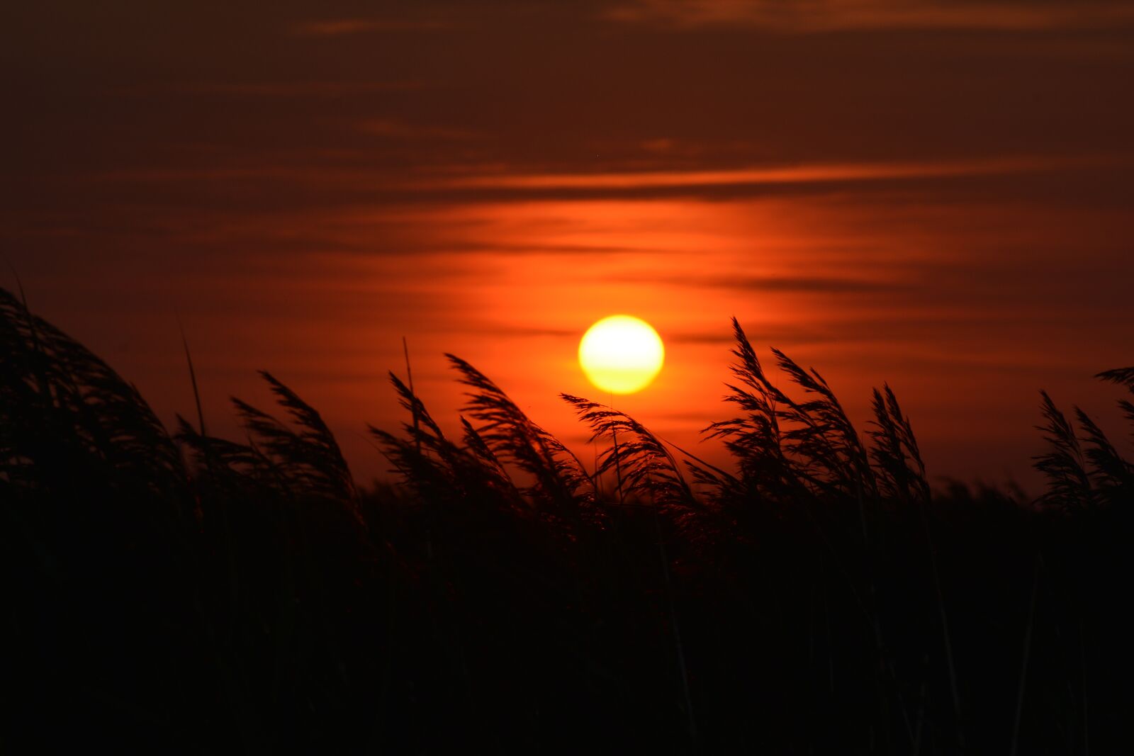 Nikon D5200 sample photo. Sunset, romantic, dusk photography