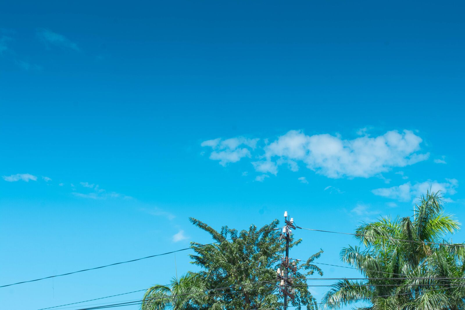 Nikon D5200 sample photo. Sky, palm, summer photography