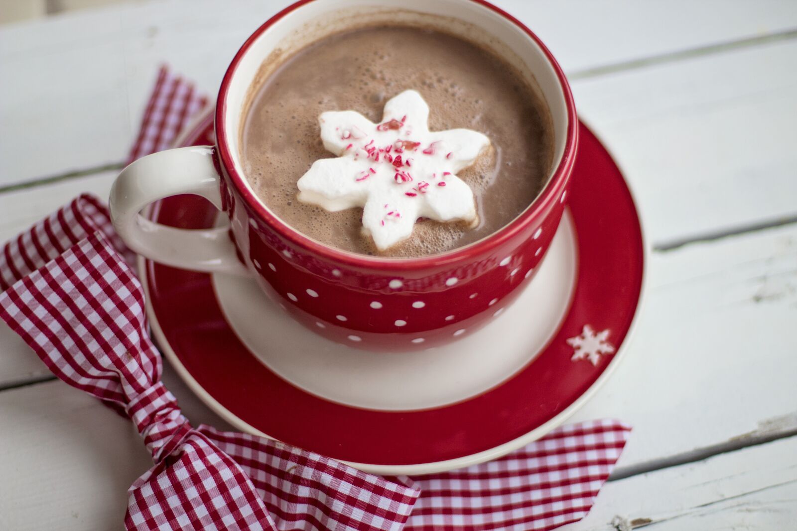 Canon EF 50mm F1.4 USM sample photo. Hot chocolate, cocoa, christmas photography