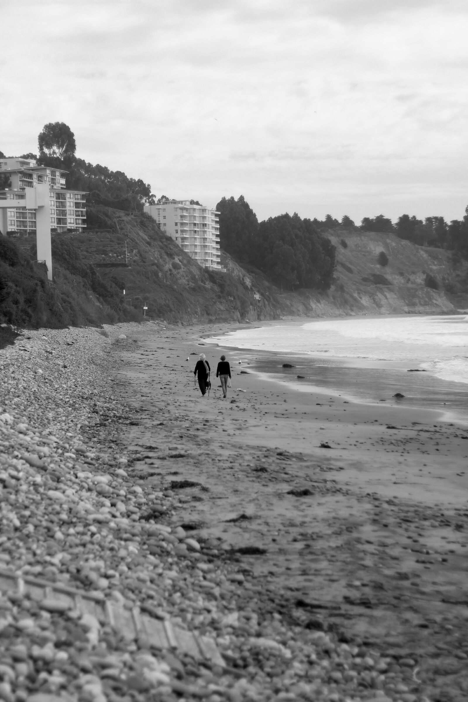 Canon EF 50mm F1.8 II sample photo. Walk, beach, black and photography