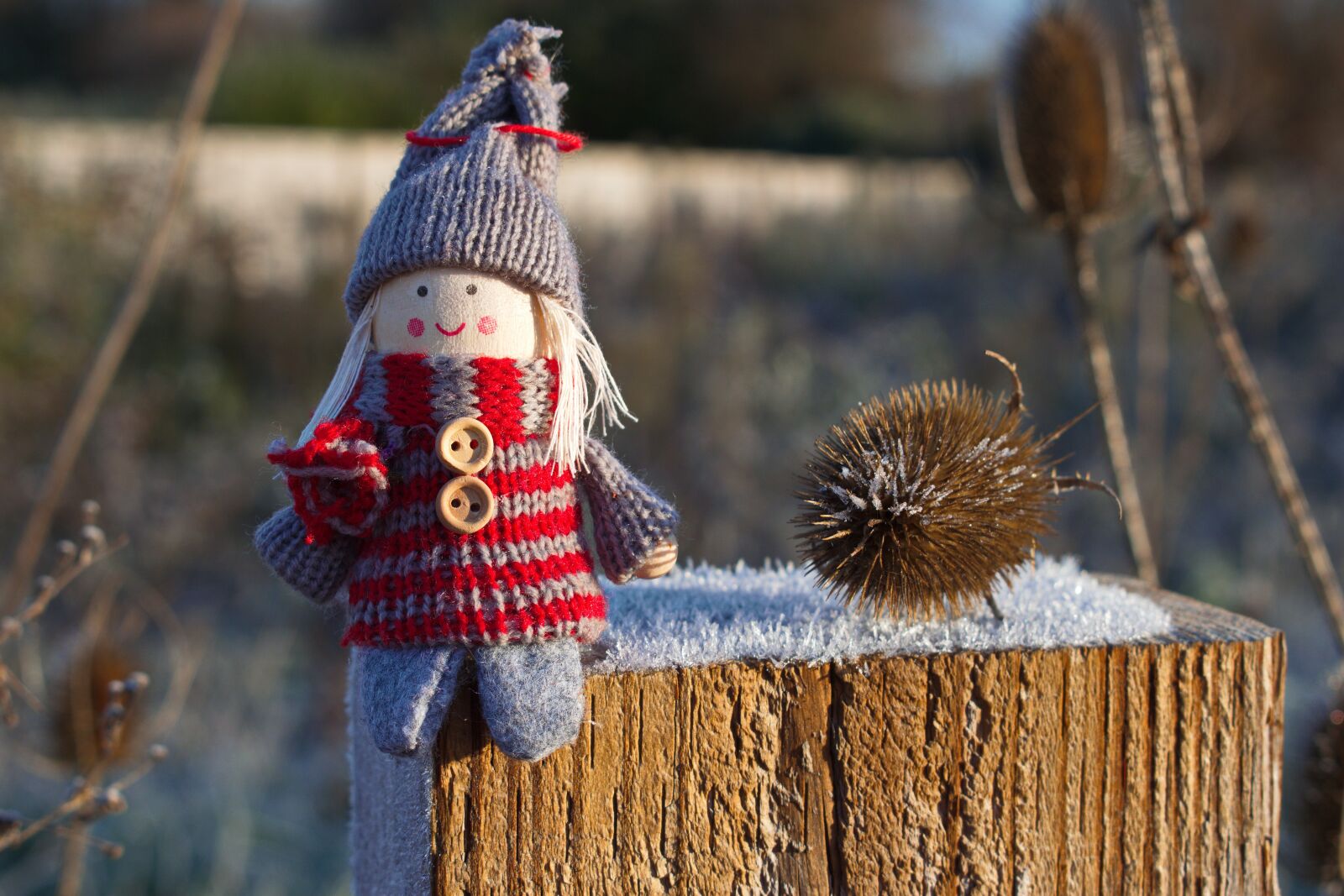 Nikon D3300 sample photo. Beautiful day, doll, wood photography