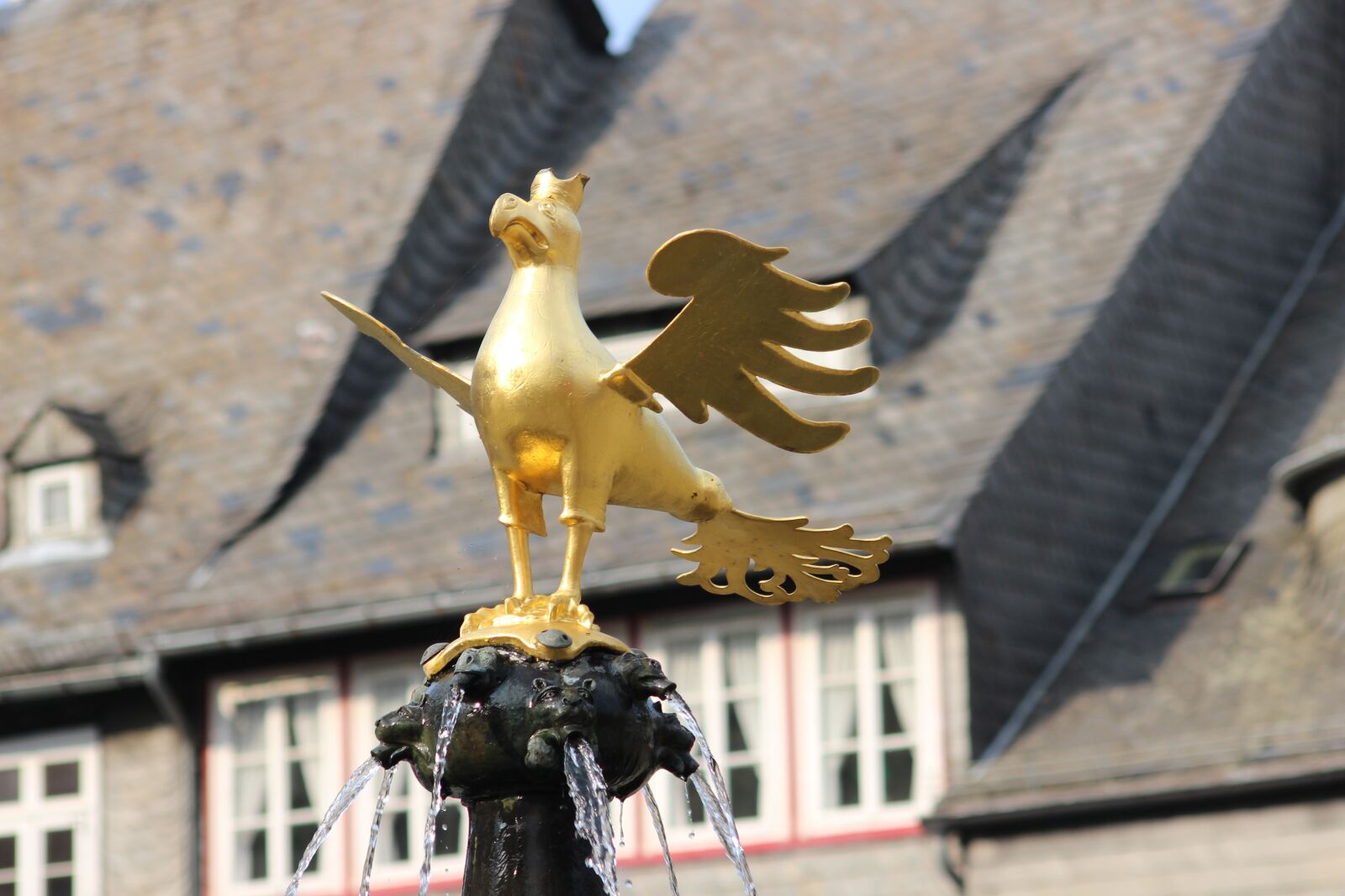Canon EOS 600D (Rebel EOS T3i / EOS Kiss X5) sample photo. Adler, fountain, goslar photography