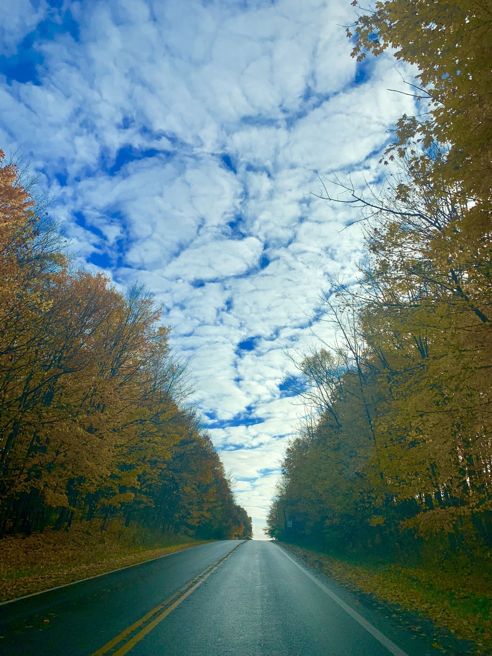 iPhone XS Max back dual camera 4.25mm f/1.8 sample photo. Fall, god, nature photography