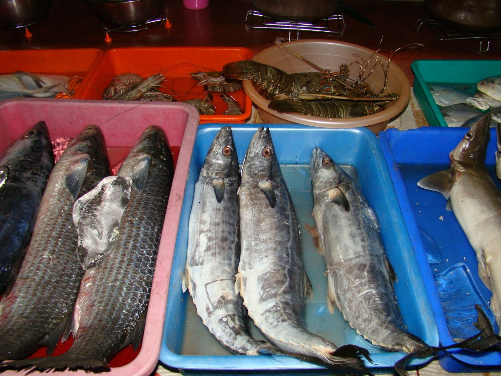 Sony Cyber-shot DSC-H50 sample photo. Fish, catch, fresh photography