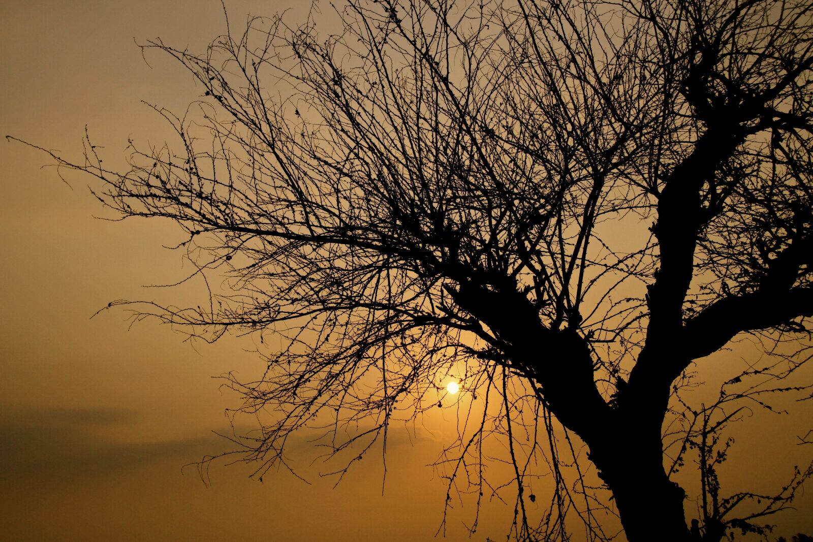 Canon EOS 7D sample photo. Sunset, natural, jogja photography