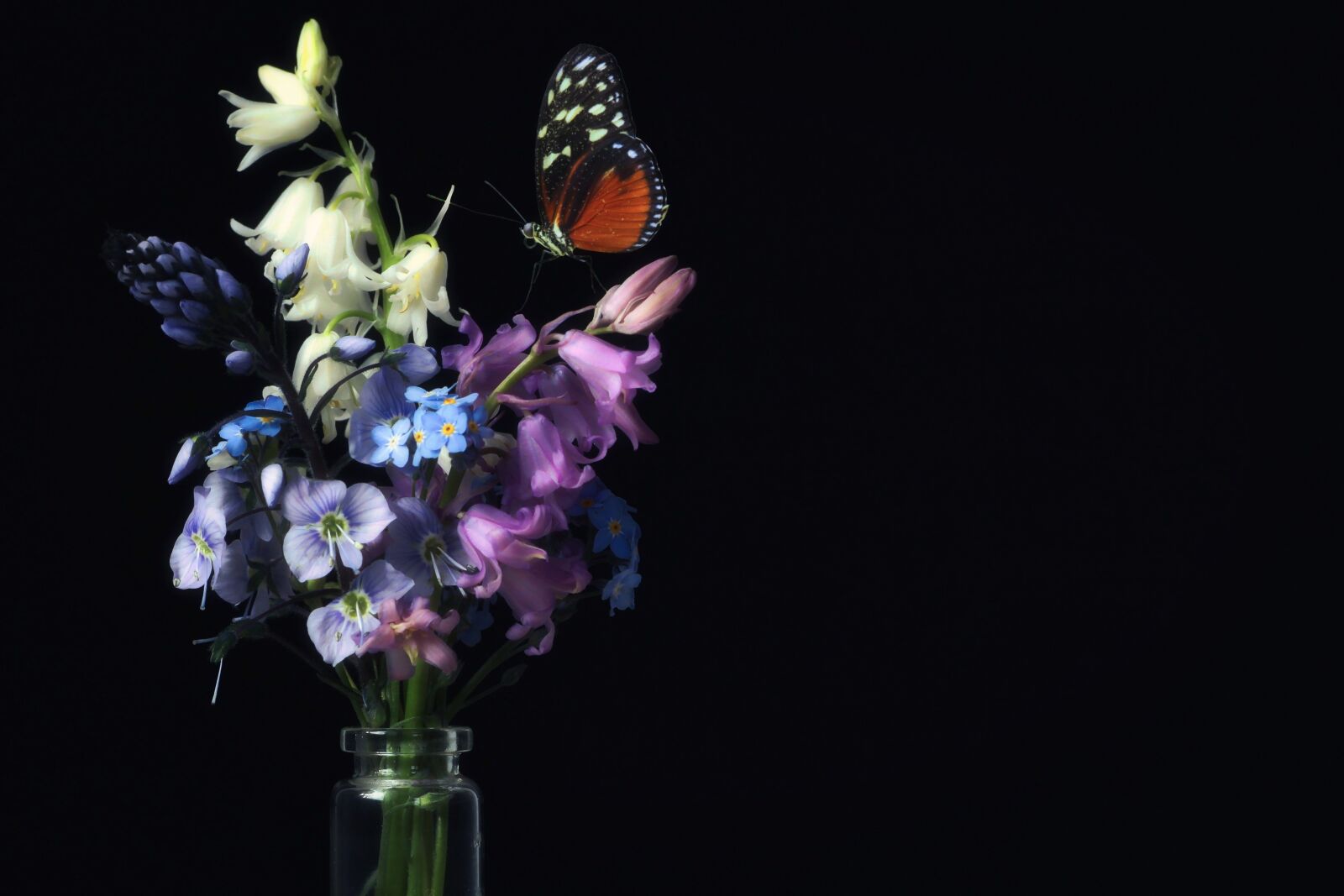 Tamron SP 90mm F2.8 Di VC USD 1:1 Macro sample photo. Spring, butterfly, spring bouquet photography