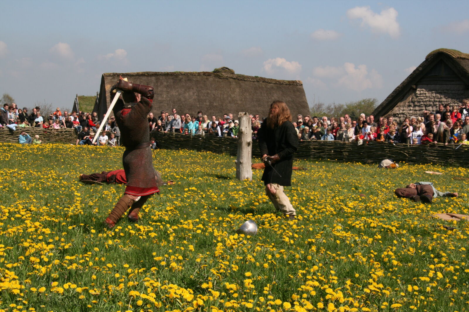 Sigma 18-200mm f/3.5-6.3 DC OS sample photo. Vikings photography