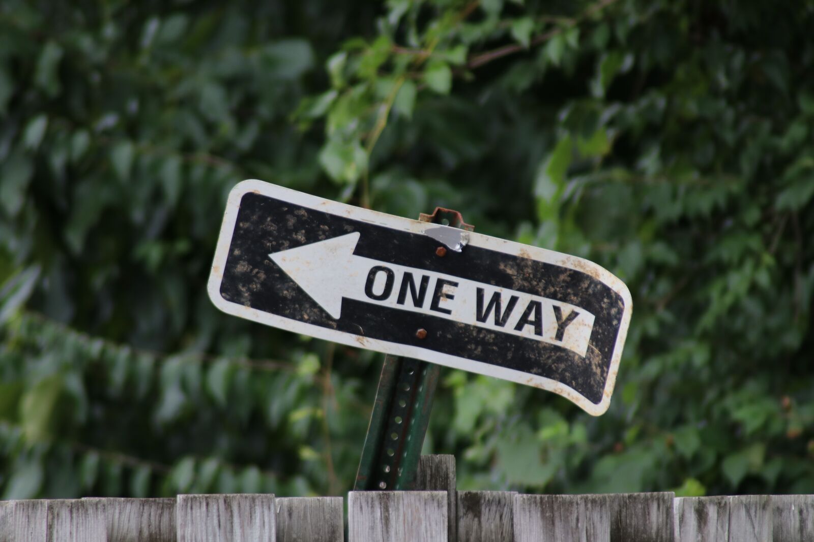 Canon EOS 80D sample photo. Sign, one way, old photography