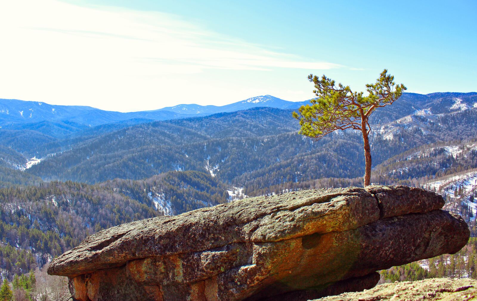 Canon EOS 600D (Rebel EOS T3i / EOS Kiss X5) sample photo. Pine, stone, rocks photography