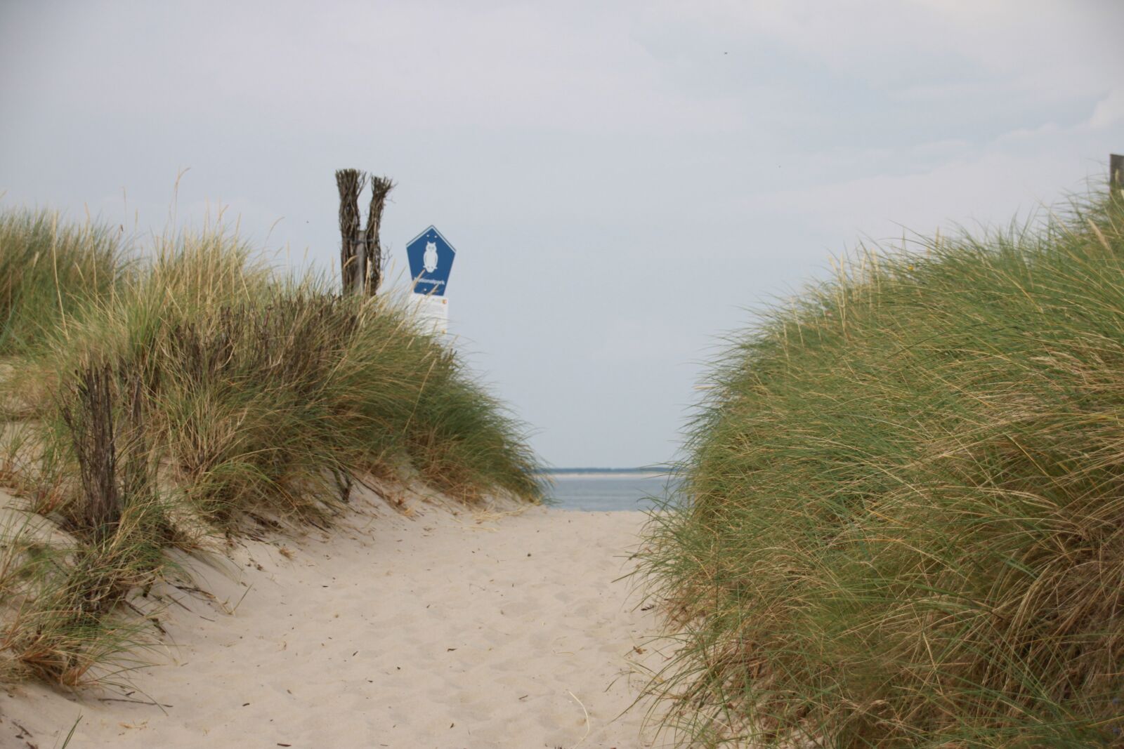 Canon EOS 500D (EOS Rebel T1i / EOS Kiss X3) sample photo. Elbow, nature, dunes photography