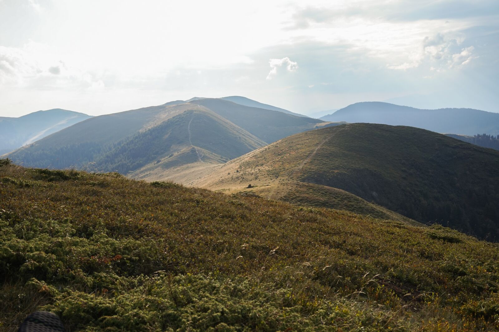 Sony Alpha a5000 (ILCE 5000) sample photo. Landscape, sunny, nature photography