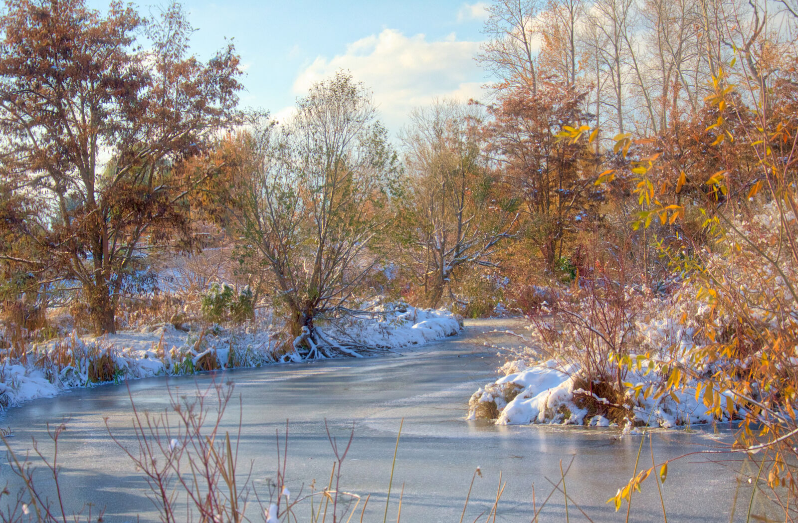 Nikon D7000 sample photo. Winter, fall, water, trees photography