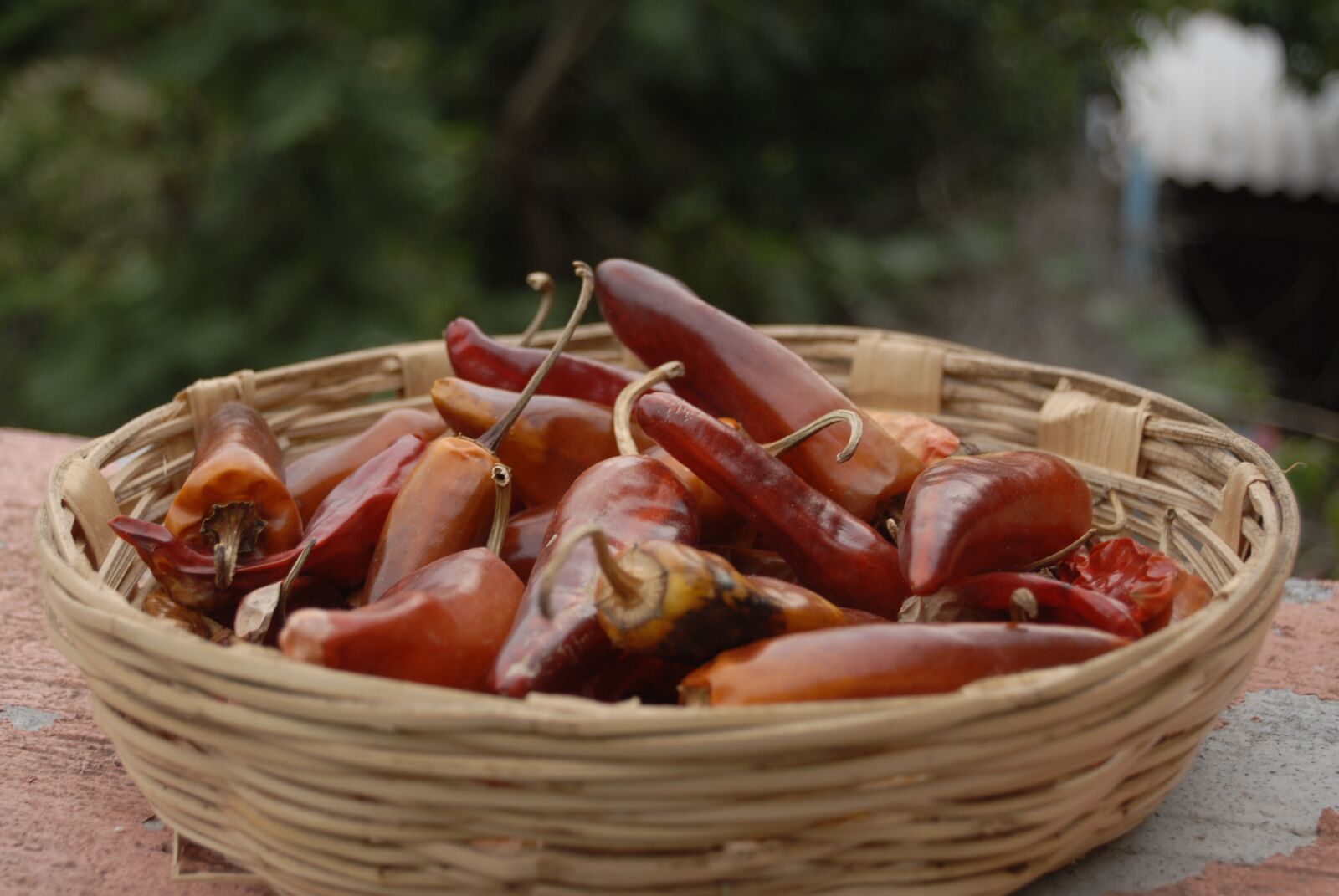Nikon D200 sample photo. Dry chilli, spicy, regional photography