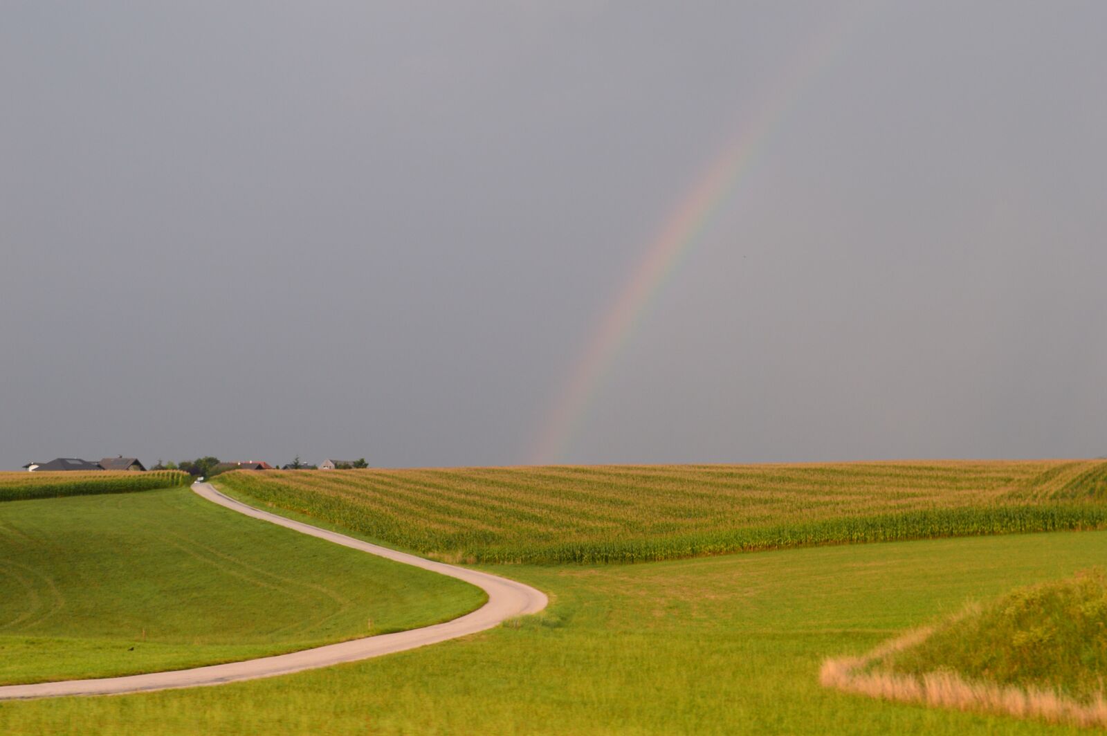Nikon D3200 sample photo. Rainbow, sunny, green photography