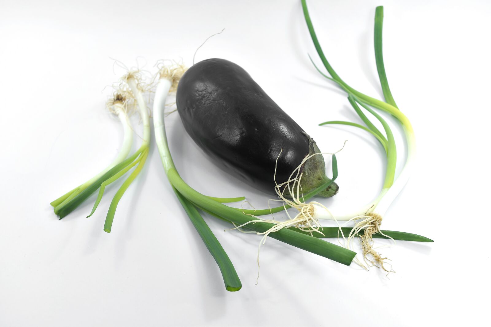Nikon D5500 sample photo. Chive, eggplant, leek, onion photography
