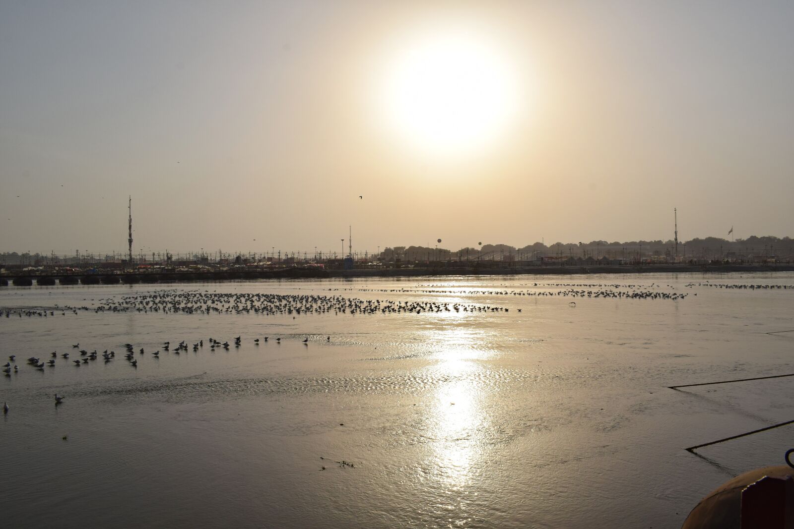 Nikon D3300 sample photo. Sunset, water, birds photography