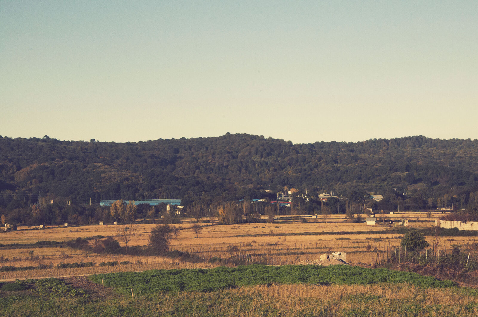 Nikon D90 sample photo. Fields, green, mountains, plains photography