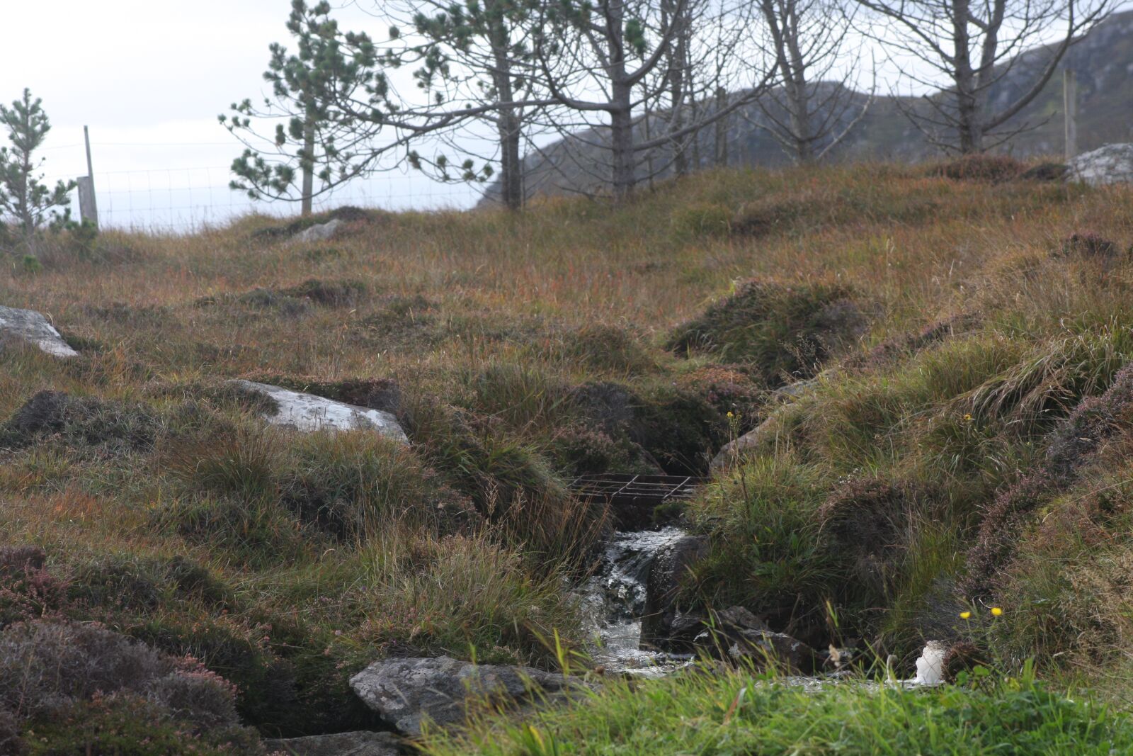 Canon EOS 40D sample photo. Isle of lewis, landscape photography