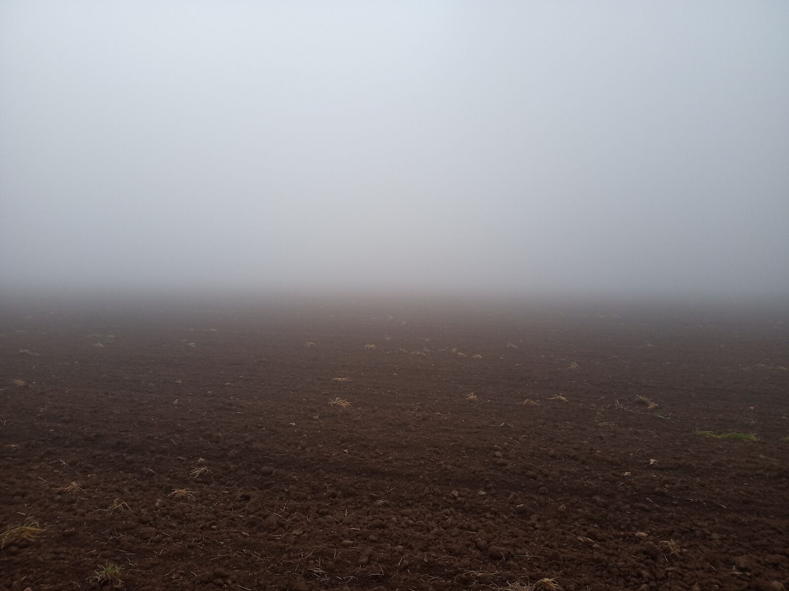 Xiaomi Redmi 6 sample photo. Fog, countryside, field photography