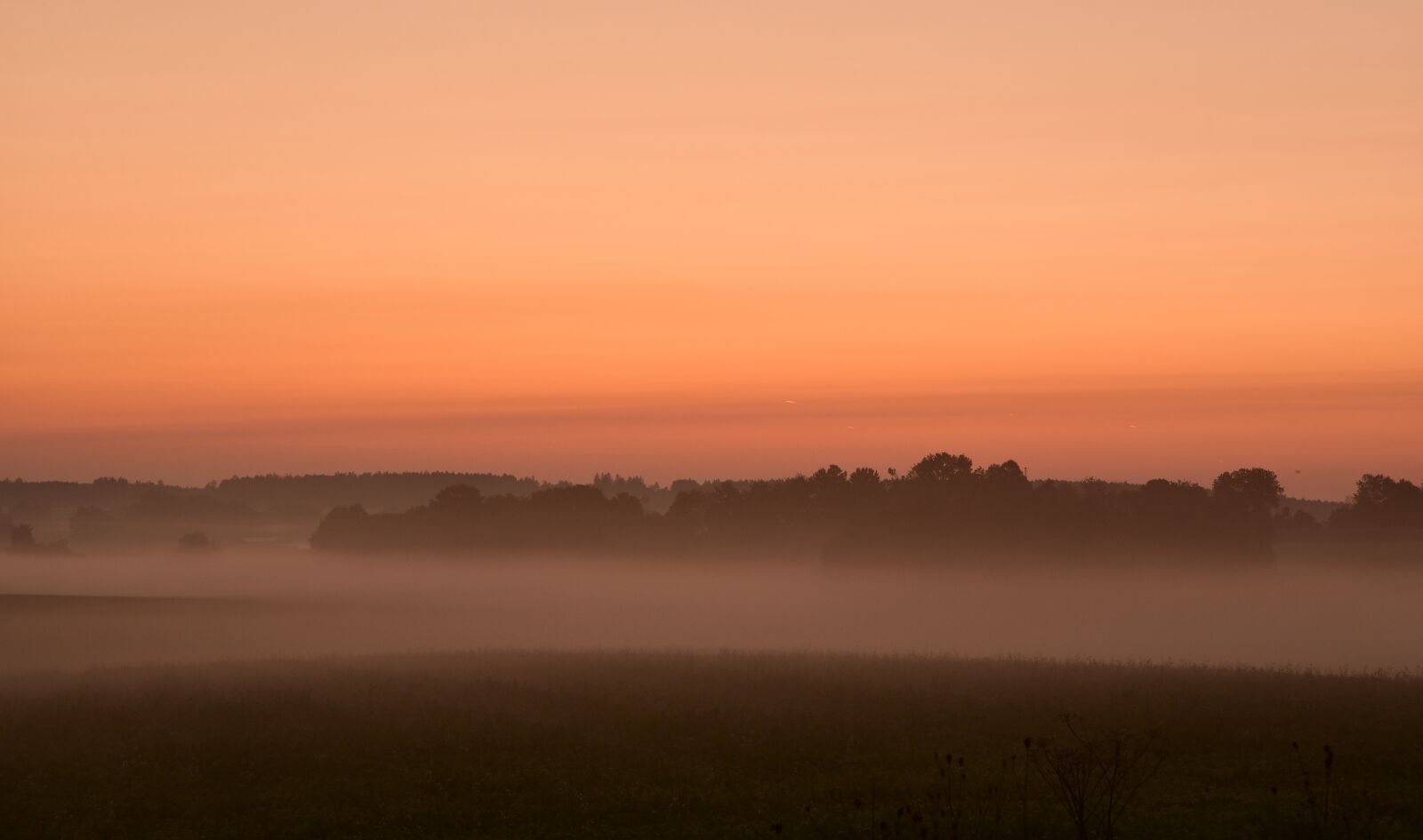 Nikon D750 sample photo. Dawn, haze, horizon photography