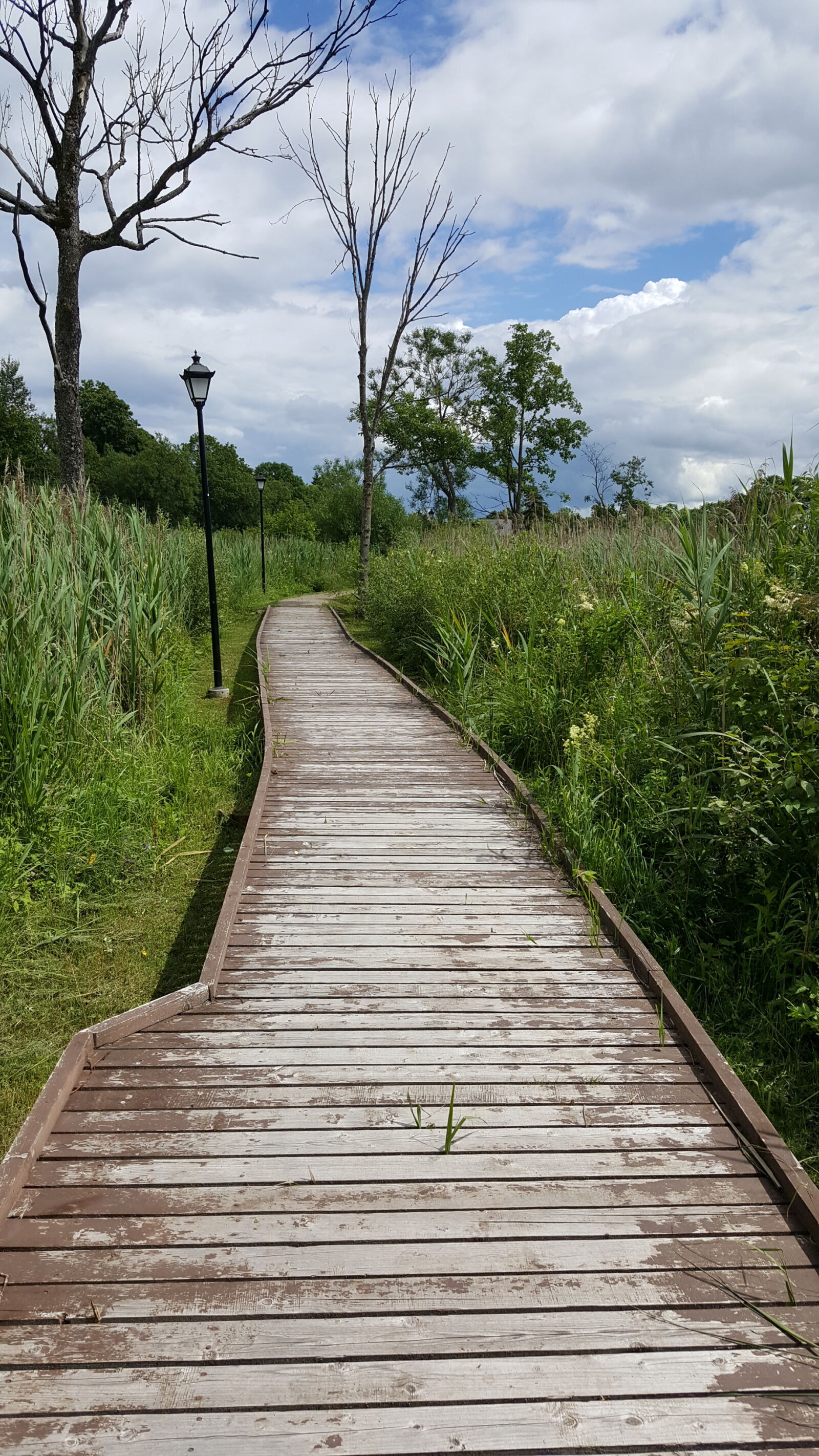 Samsung GALAXY S6 edge sample photo