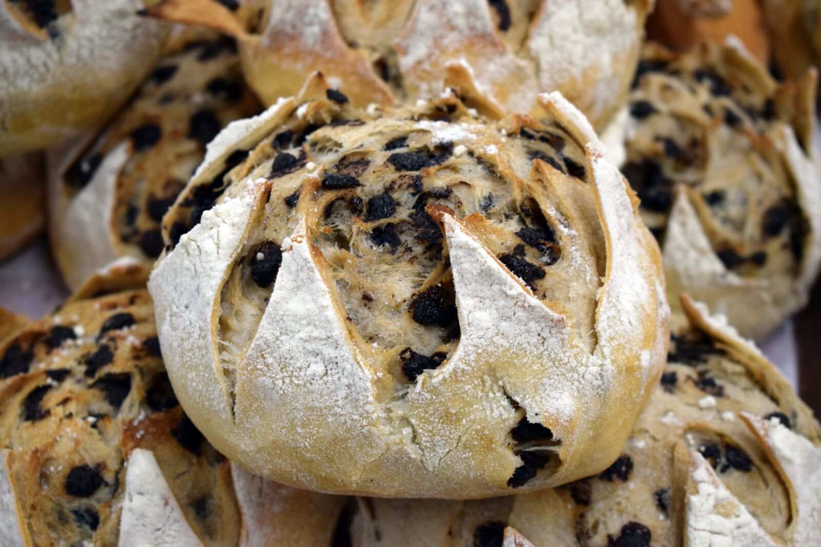 Nikon D3300 sample photo. Bread, the bakery, bakery photography