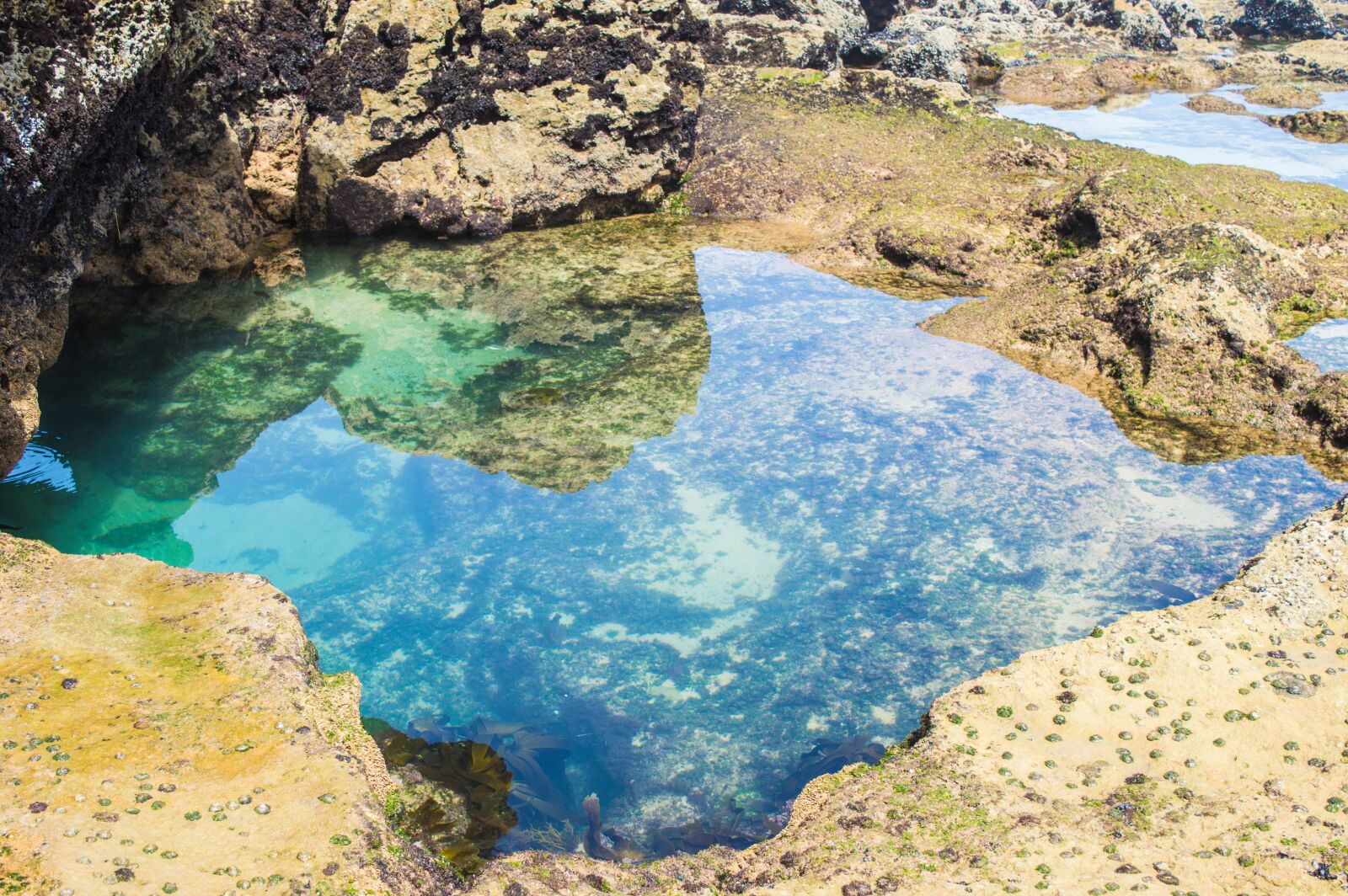 Nikon D3200 sample photo. Sea, water, life photography