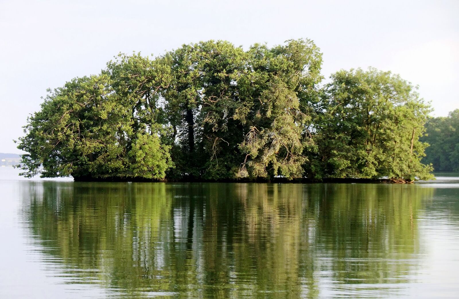 CASIO EX-H20G sample photo. Trees, lake, landscape photography