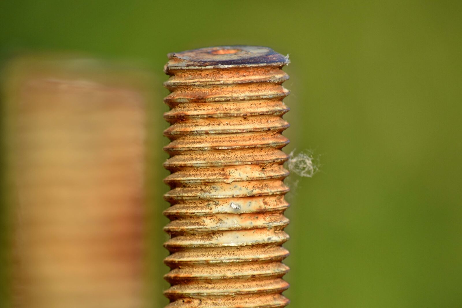 Nikon D5500 sample photo. Cast iron, detail, rust photography